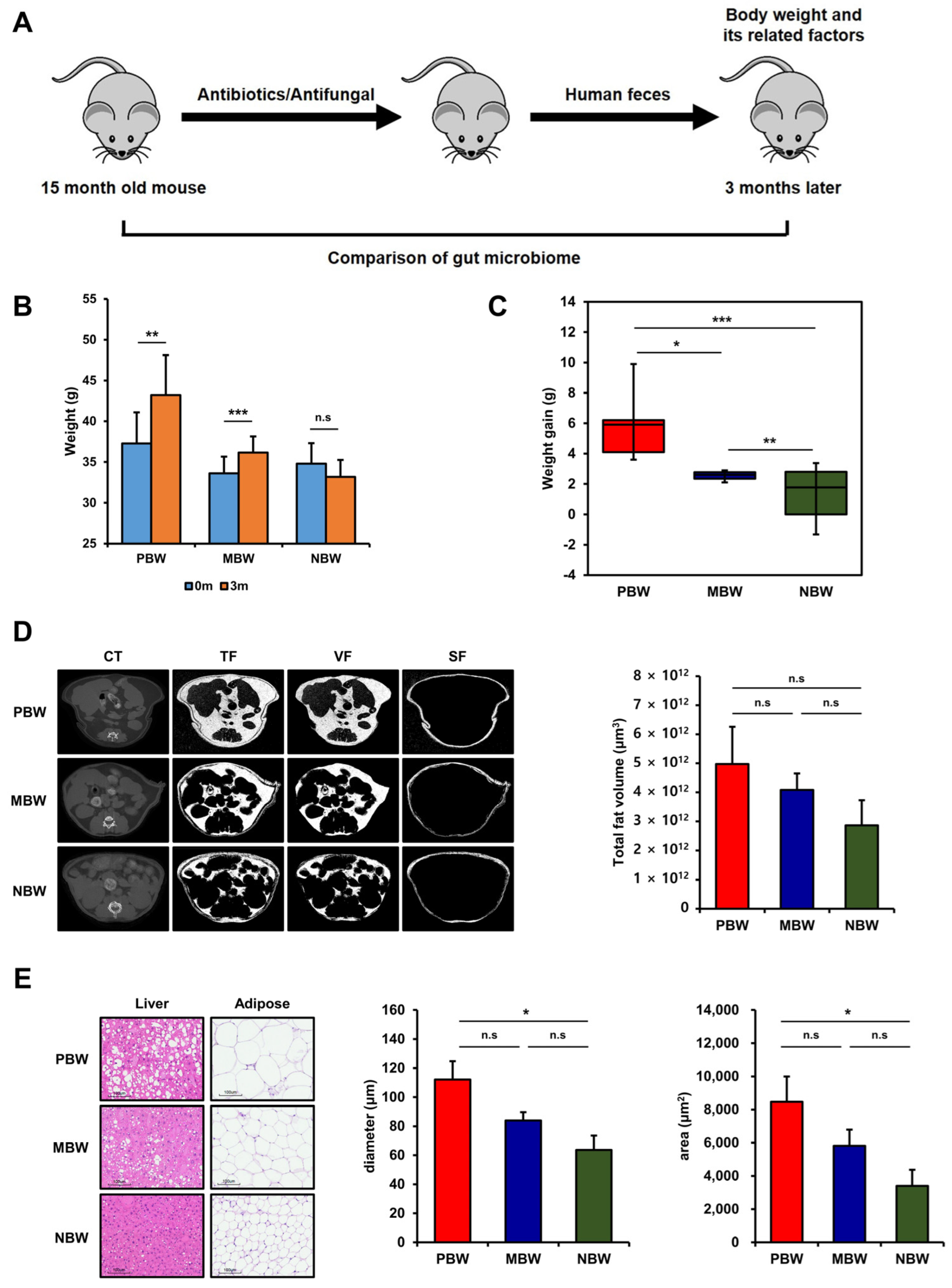 Microorganisms 10 01062 g001