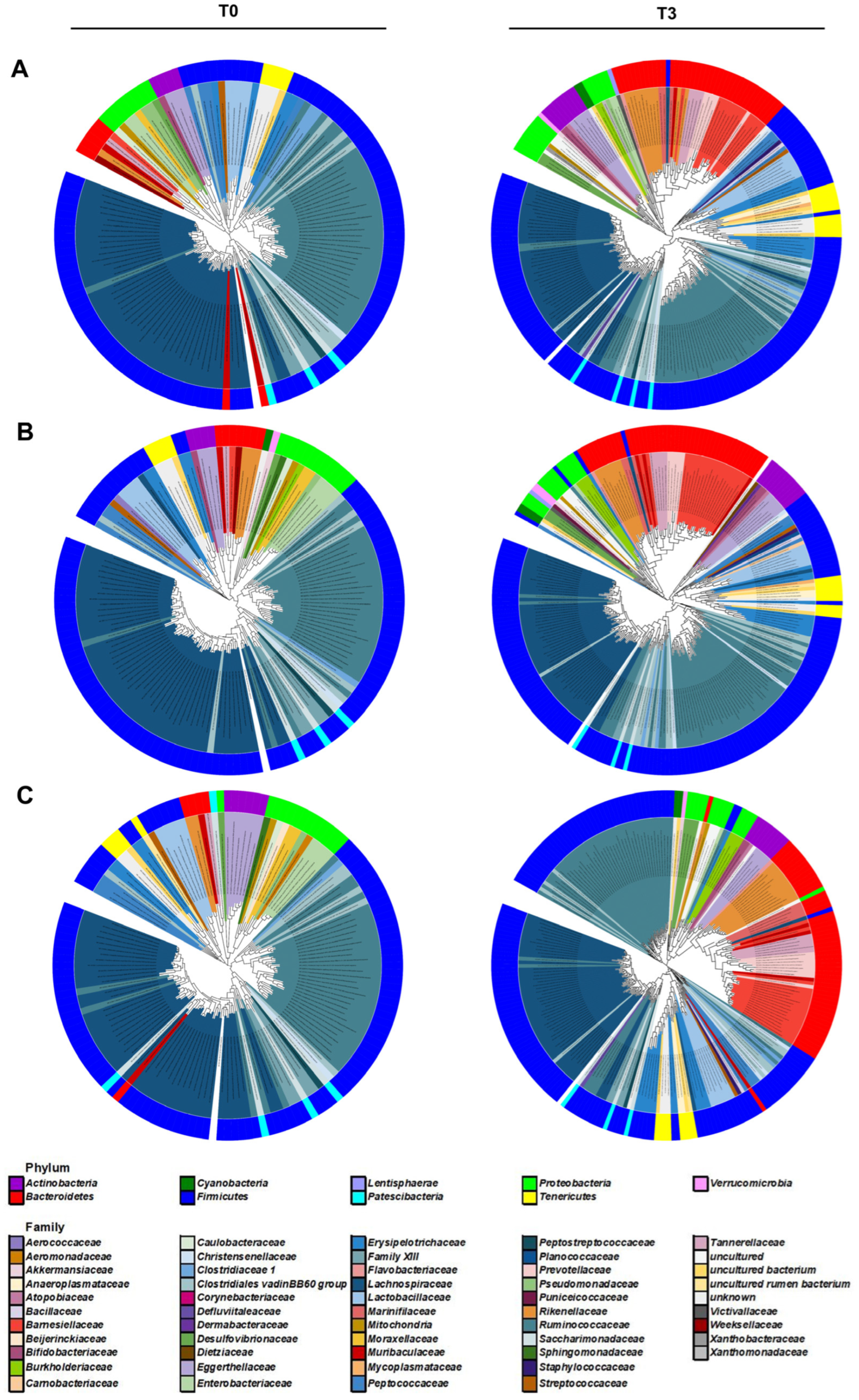 Microorganisms 10 01062 g006