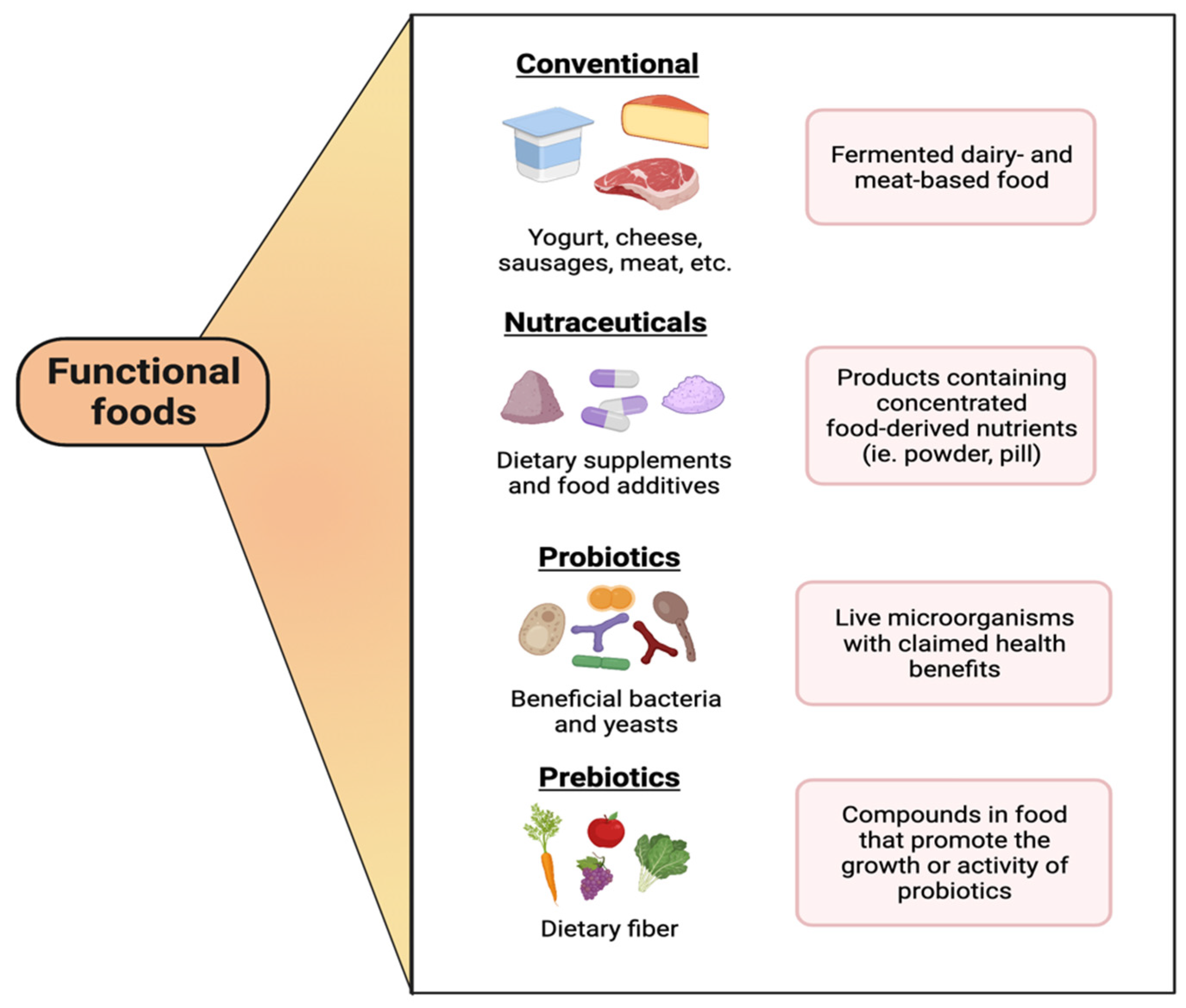 Types of Fermentation: Definition, Process, Advantages