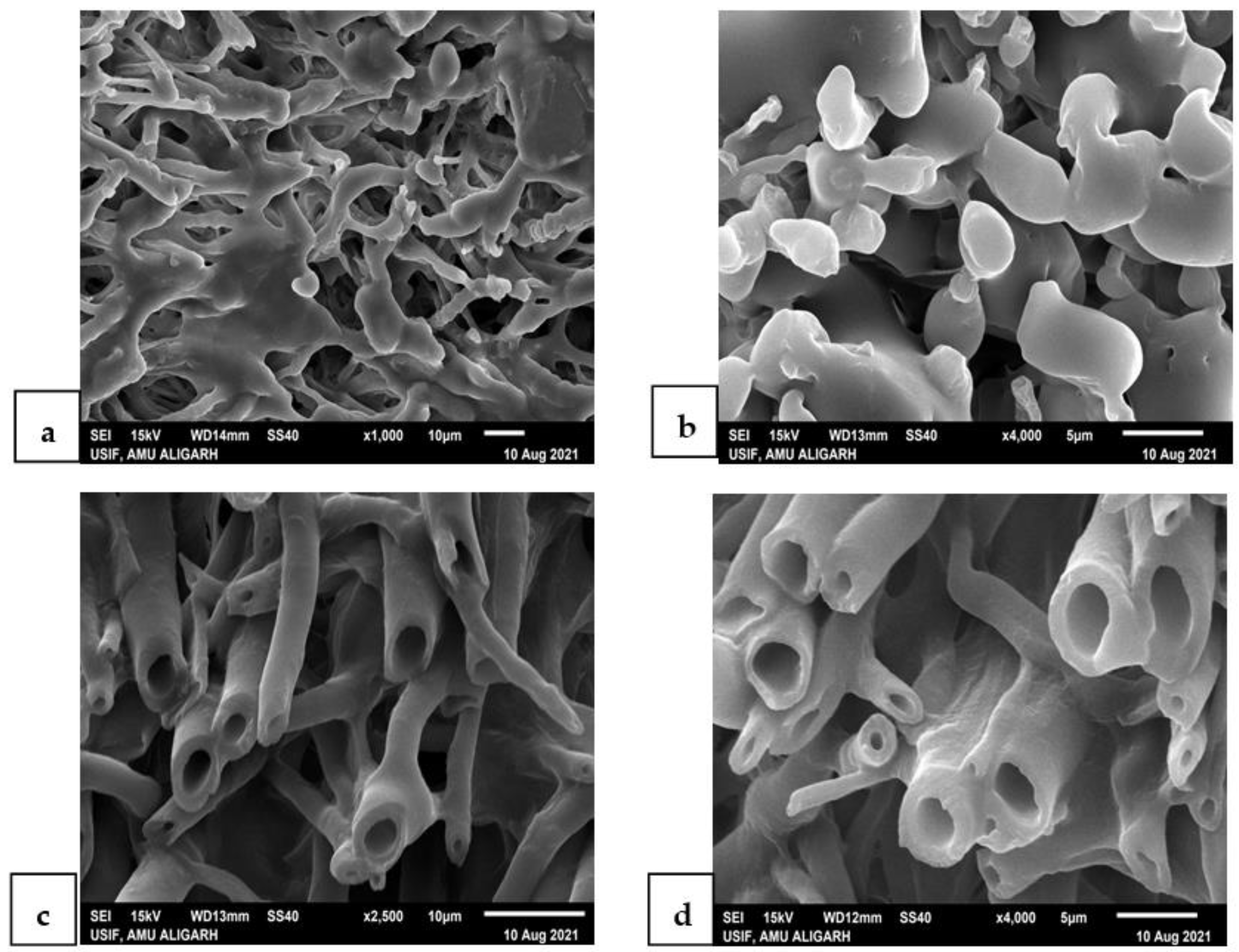 Microorganisms 10 01068 g004 550