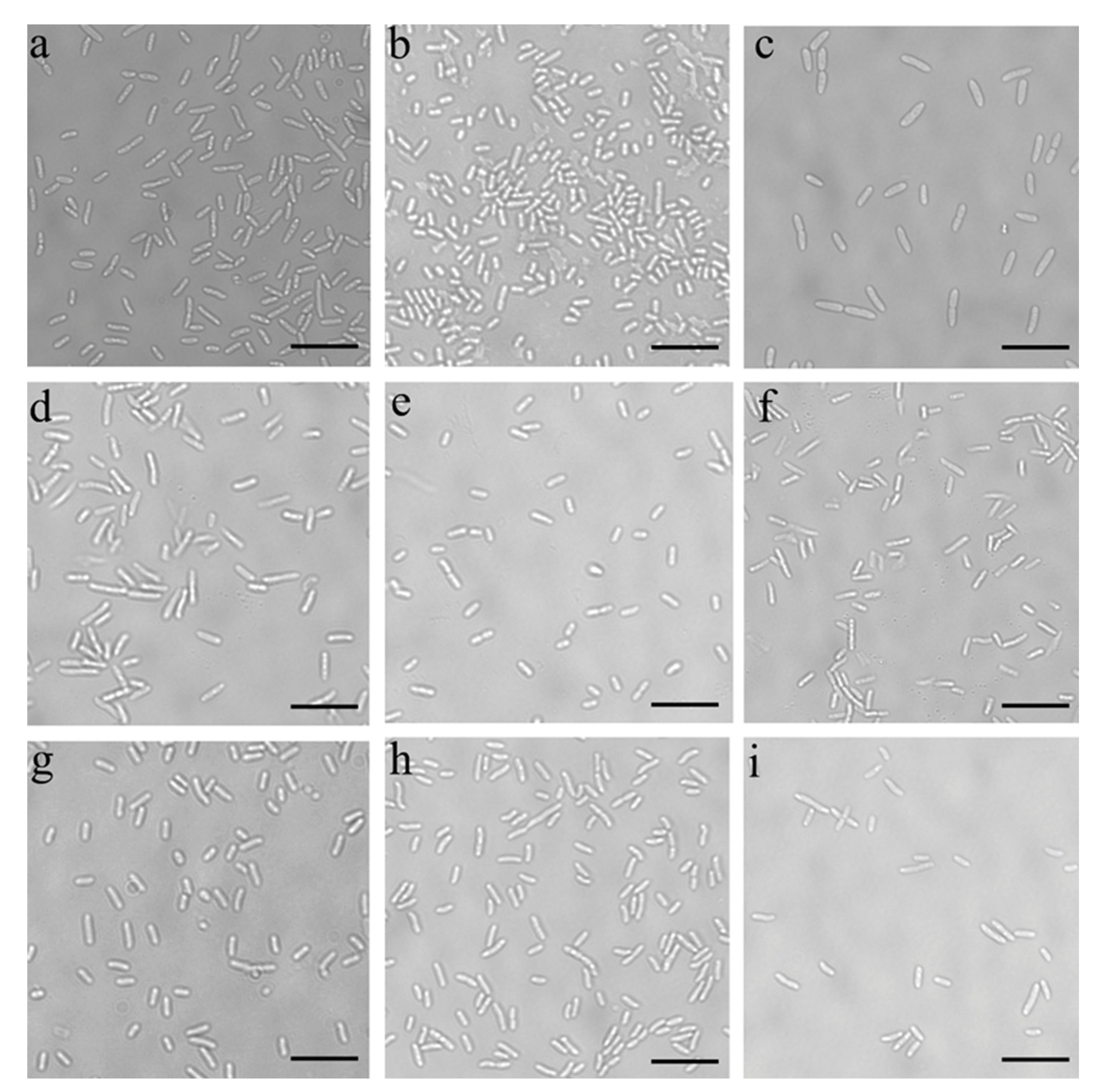 Microorganisms 10 01071 g003