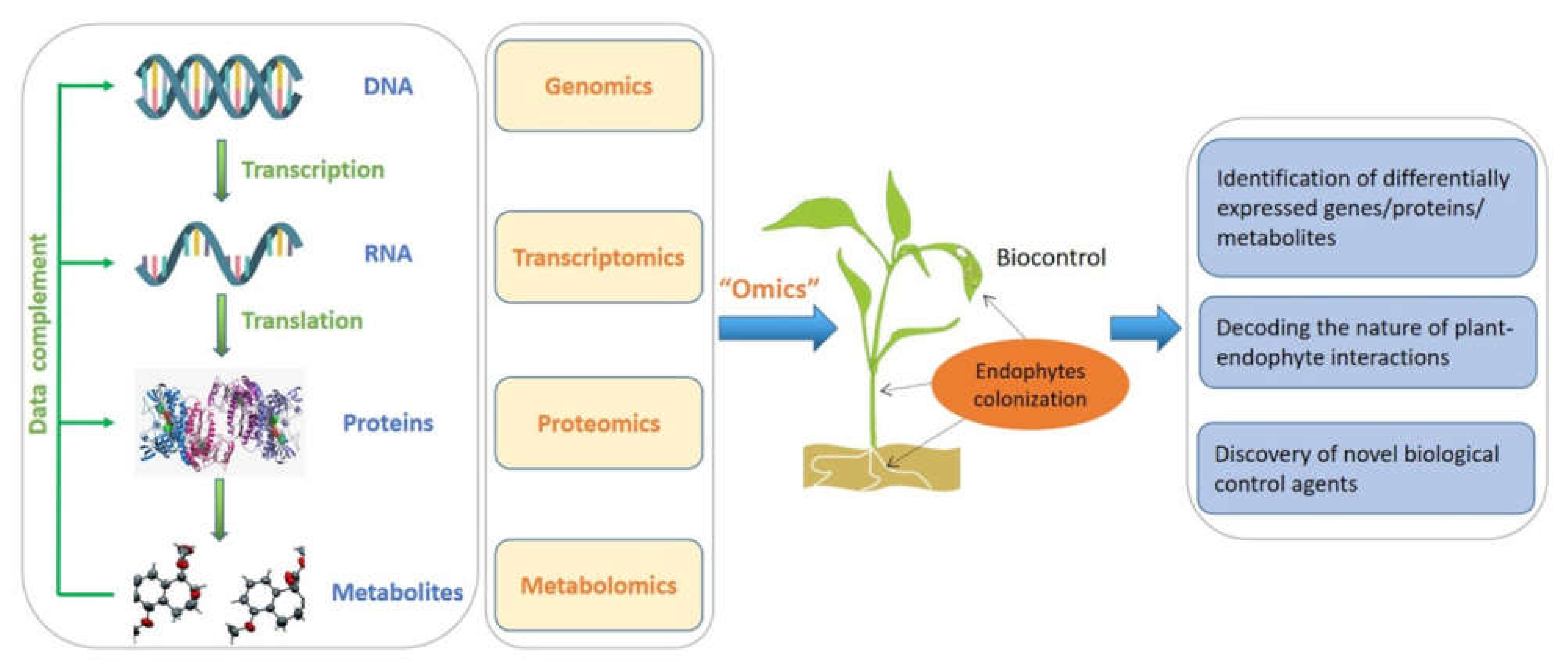 Microorganisms 10 01072 g002