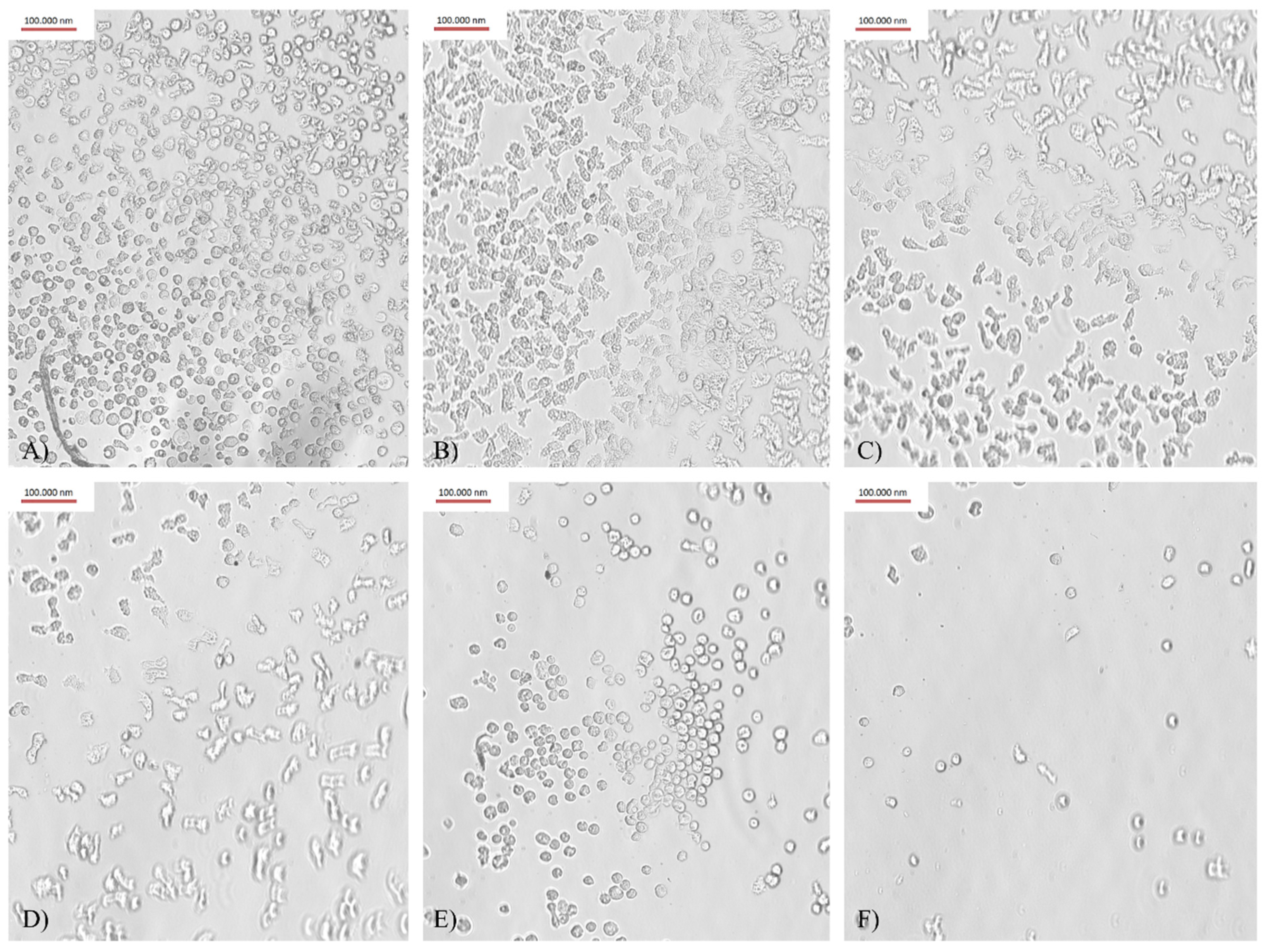 Microorganisms 10 01076 g002