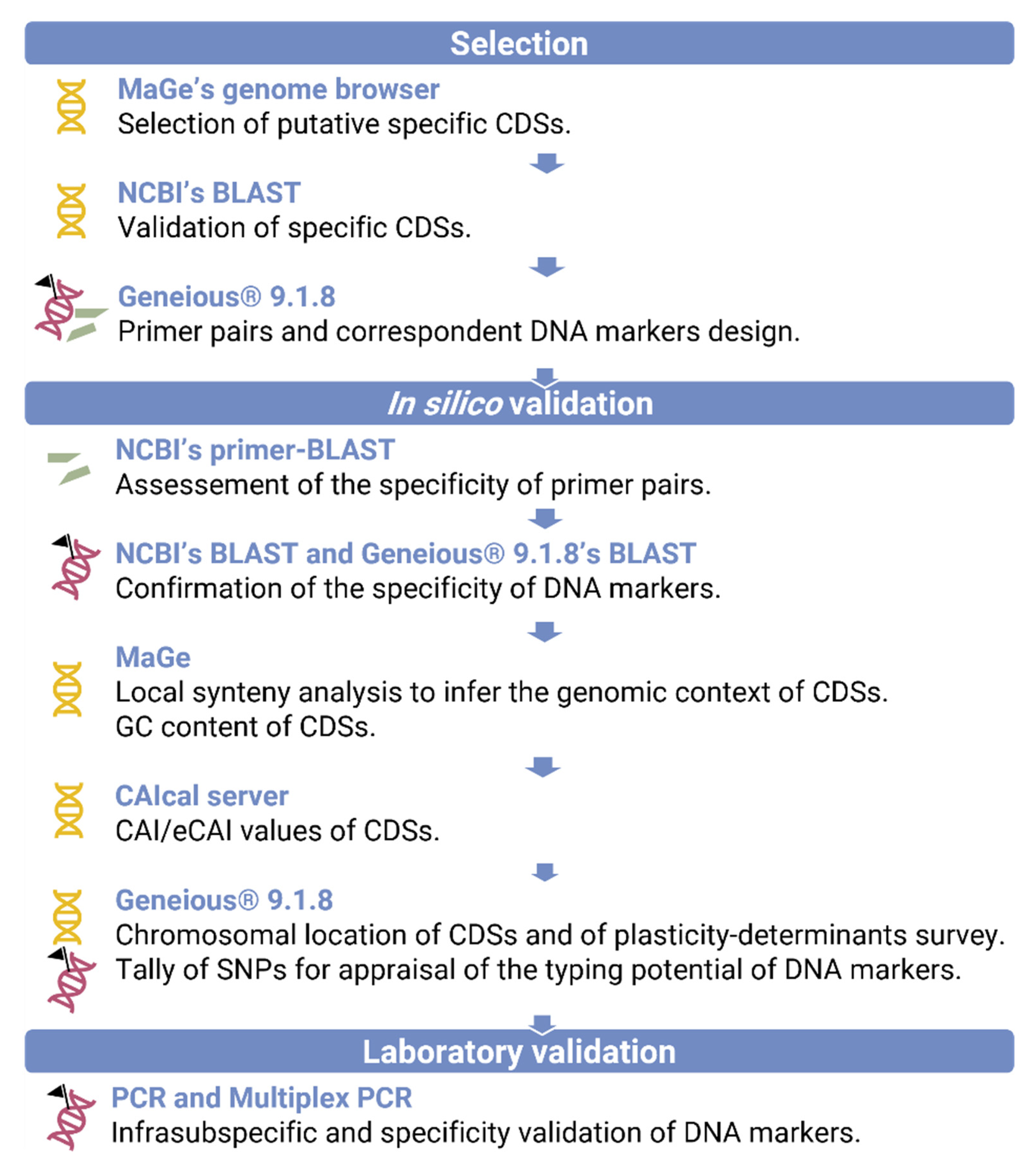 Microorganisms 10 01078 g001