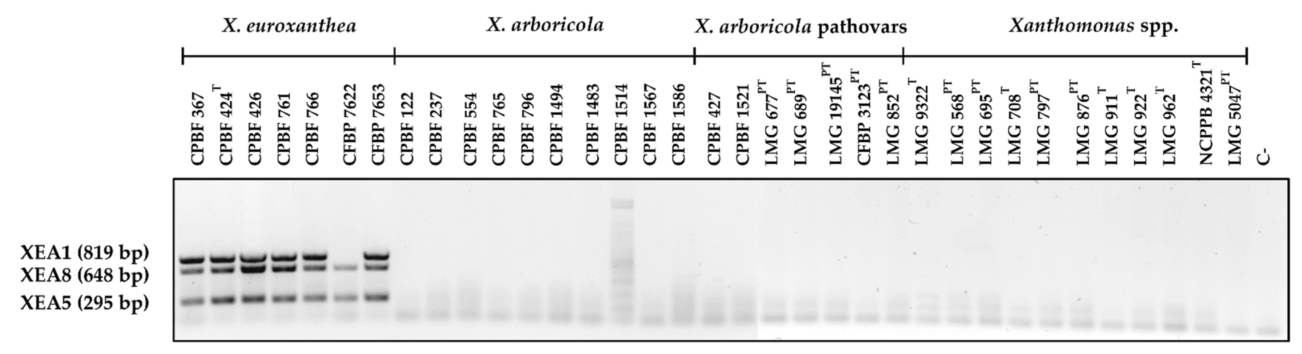 Microorganisms 10 01078 g005