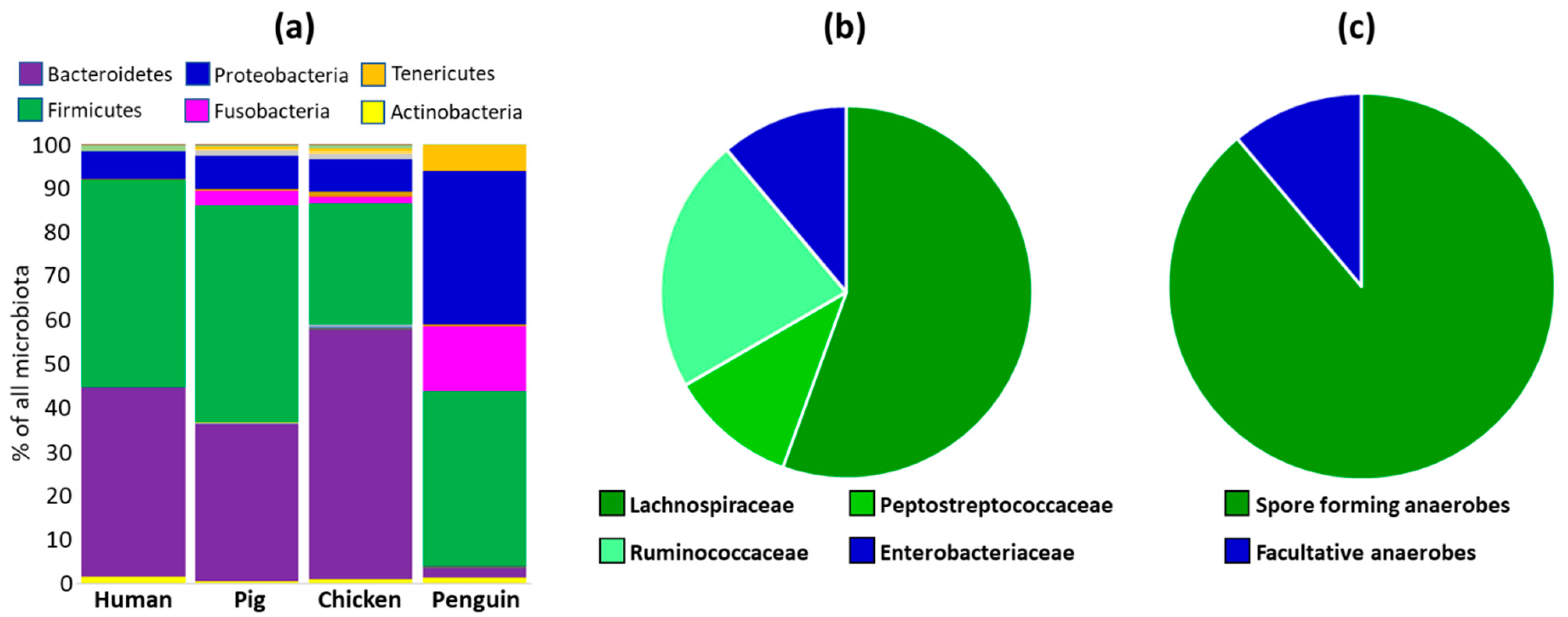 Microorganisms 10 01085 g005