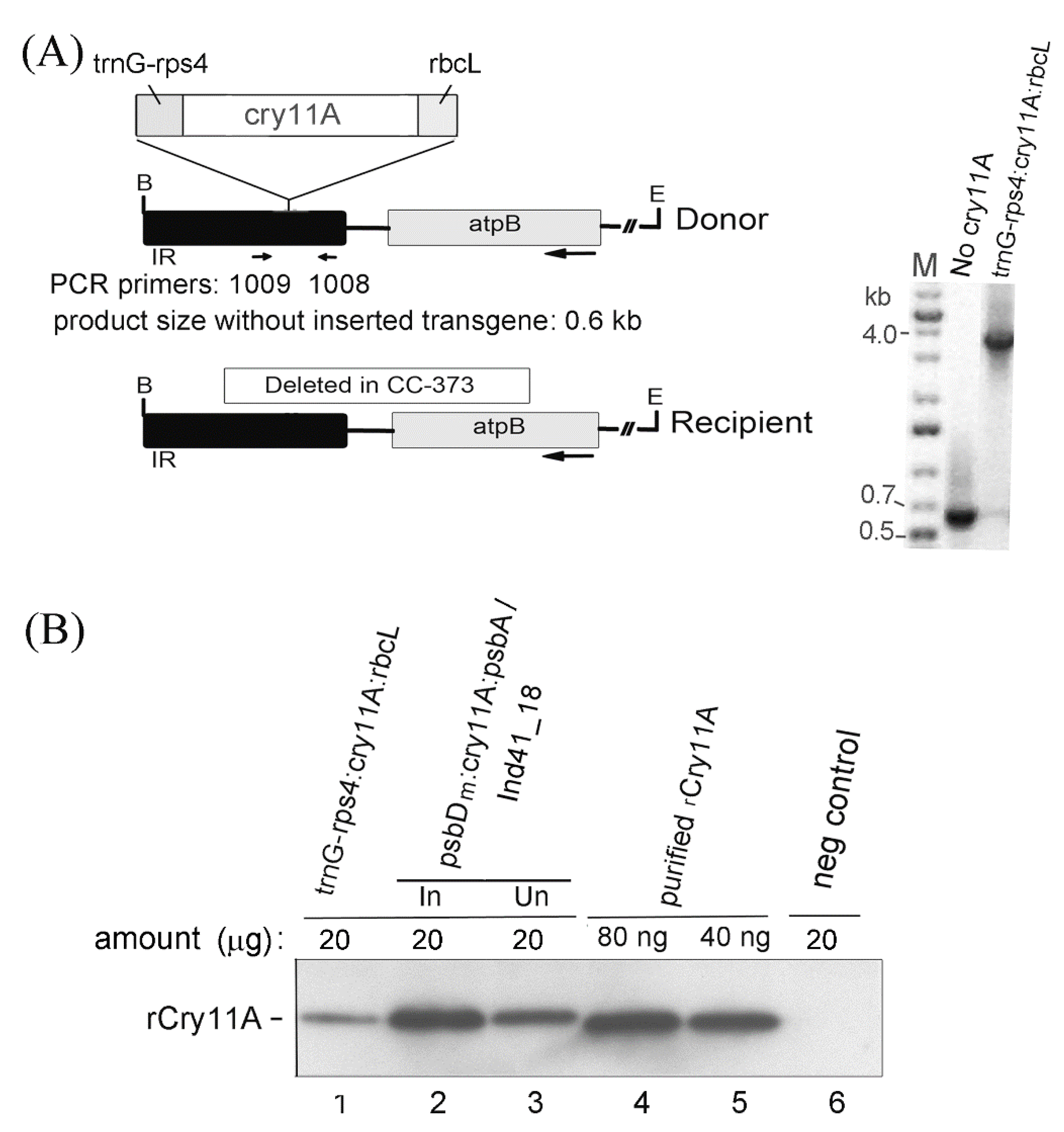 Microorganisms 10 01087 g002