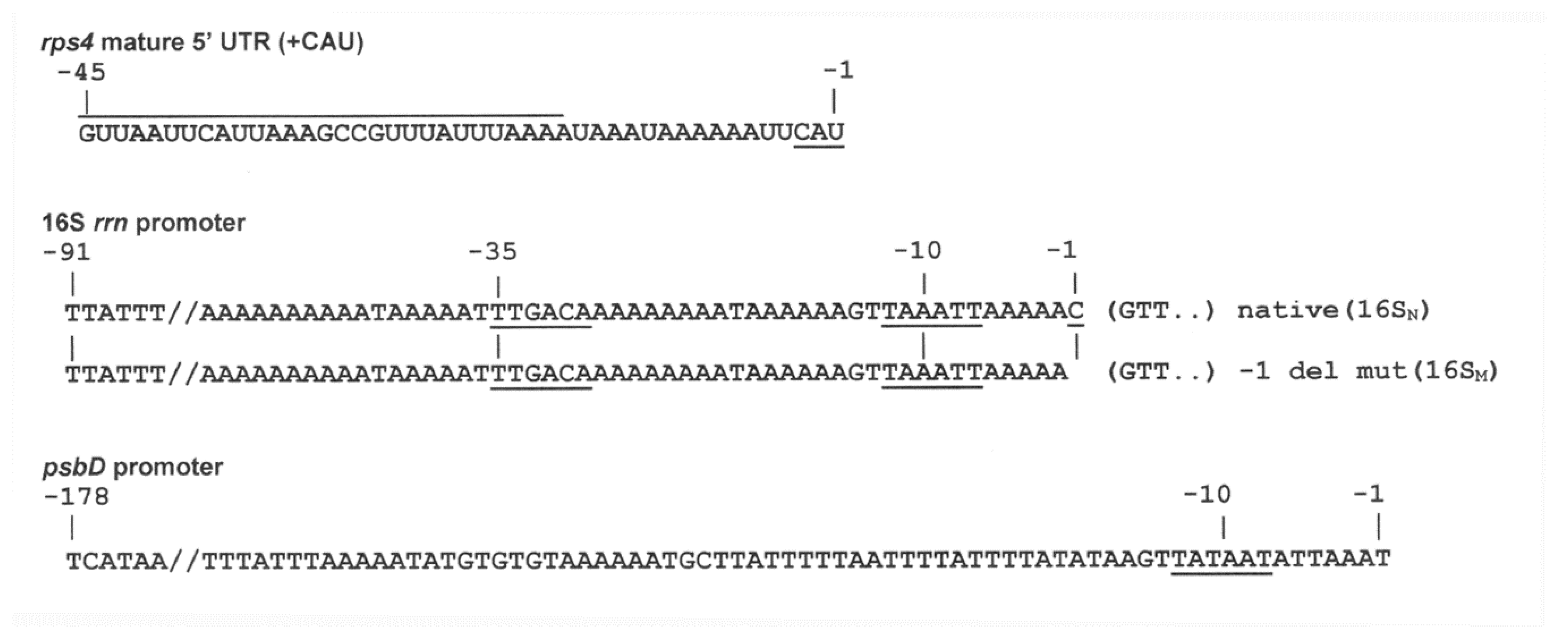 Microorganisms 10 01087 g003