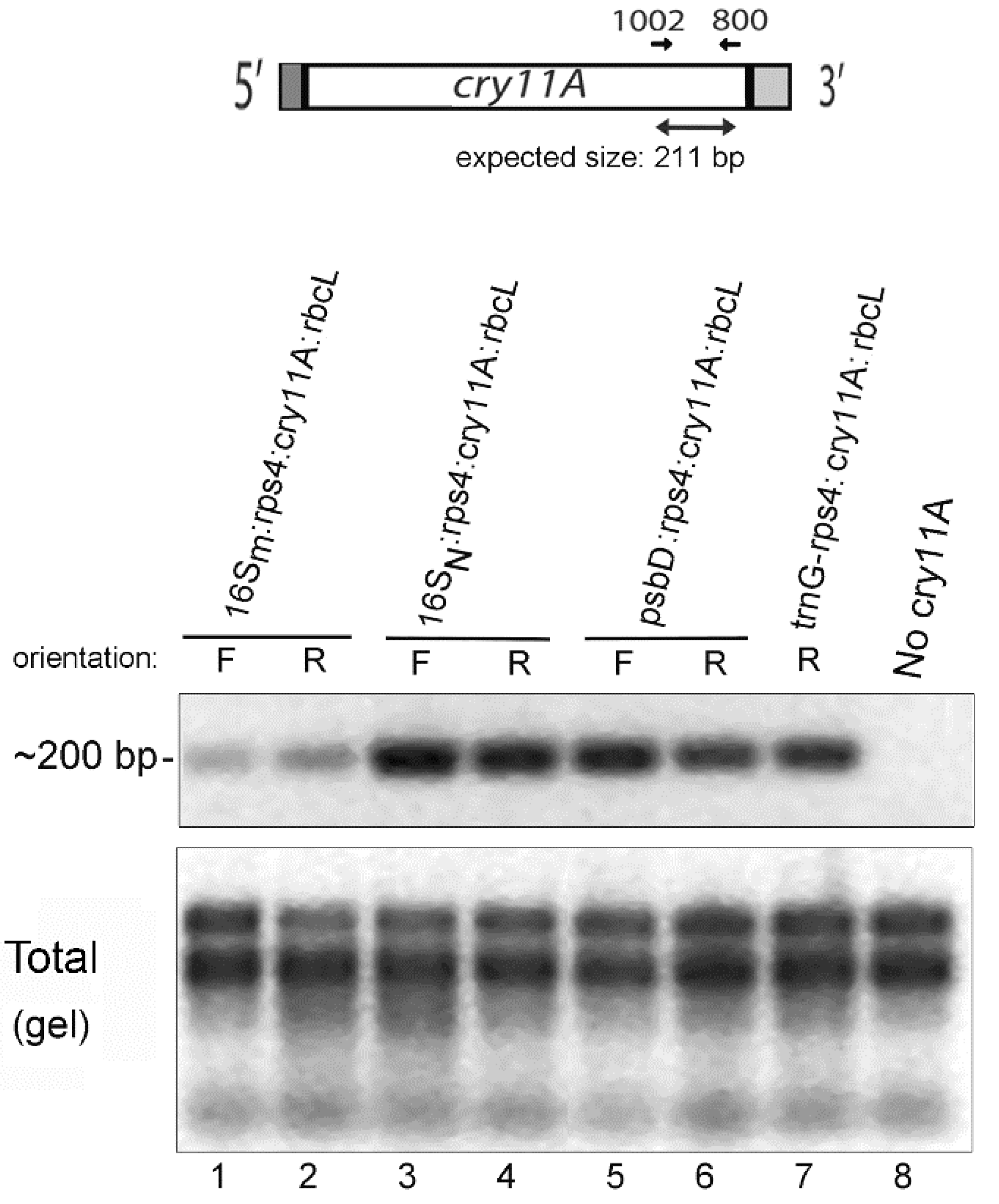 Microorganisms 10 01087 g005