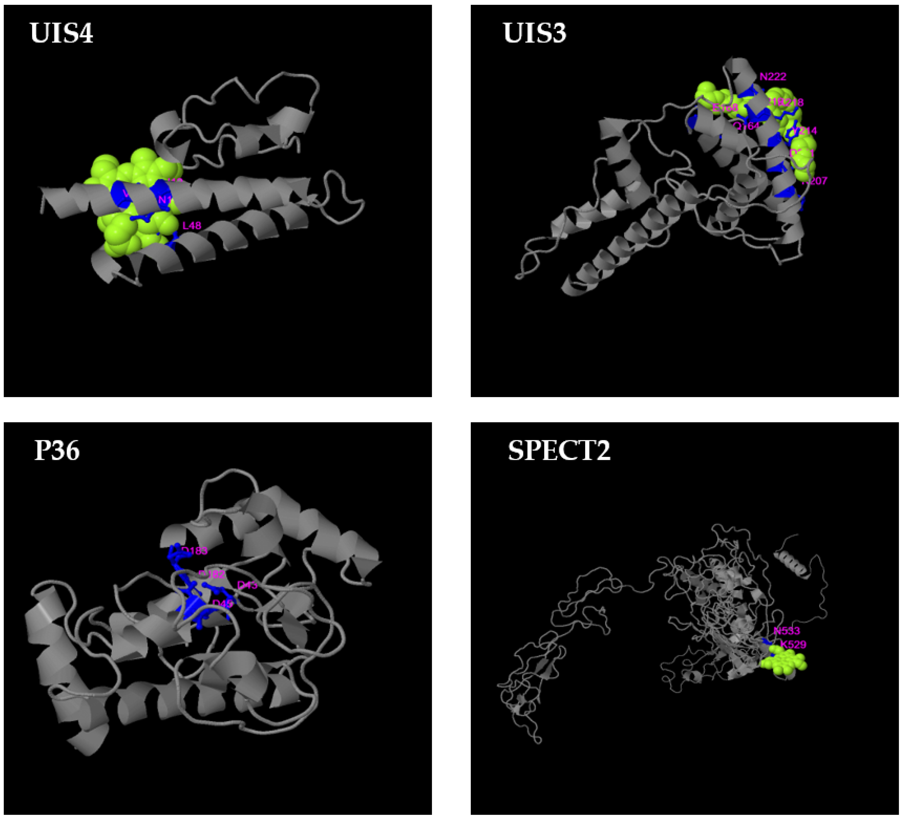 Microorganisms 10 01090 g004 Microorganisms 10 01090 g004