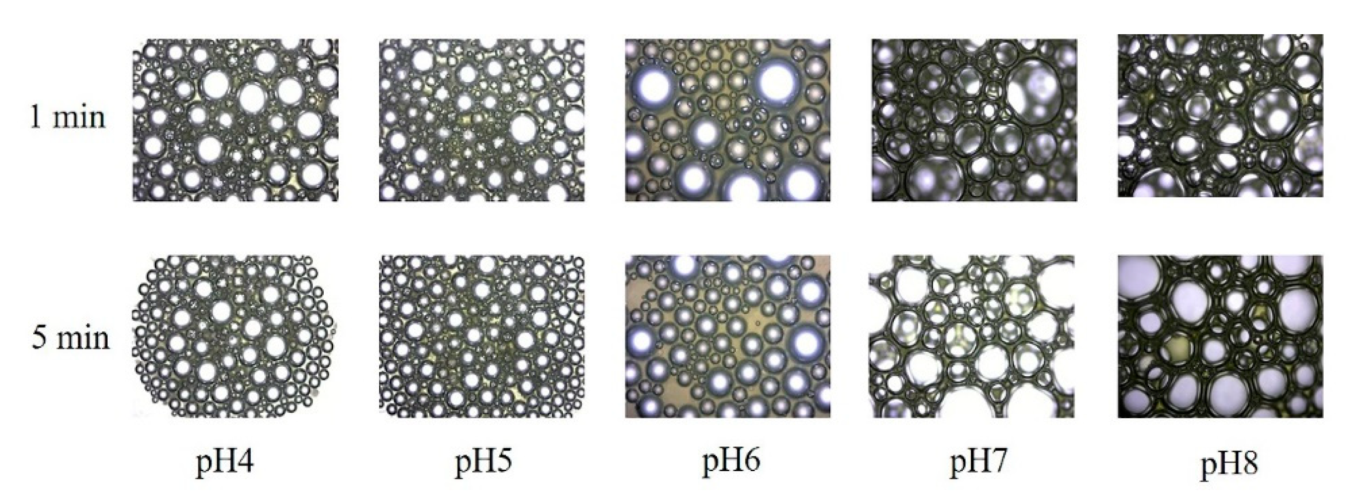 Microorganisms 10 01091 g002 550