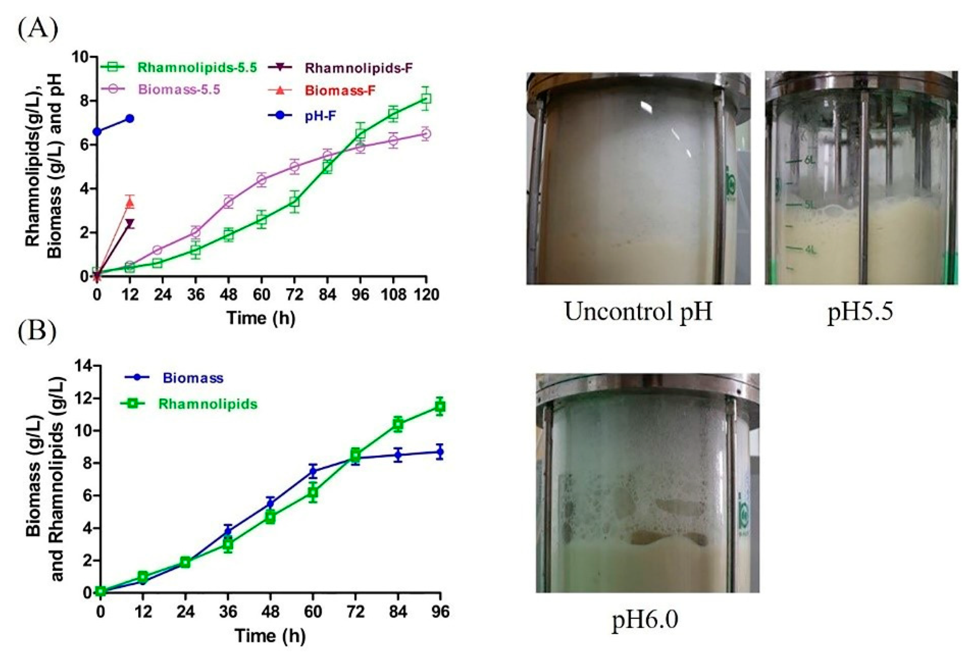 Microorganisms 10 01091 g003 550