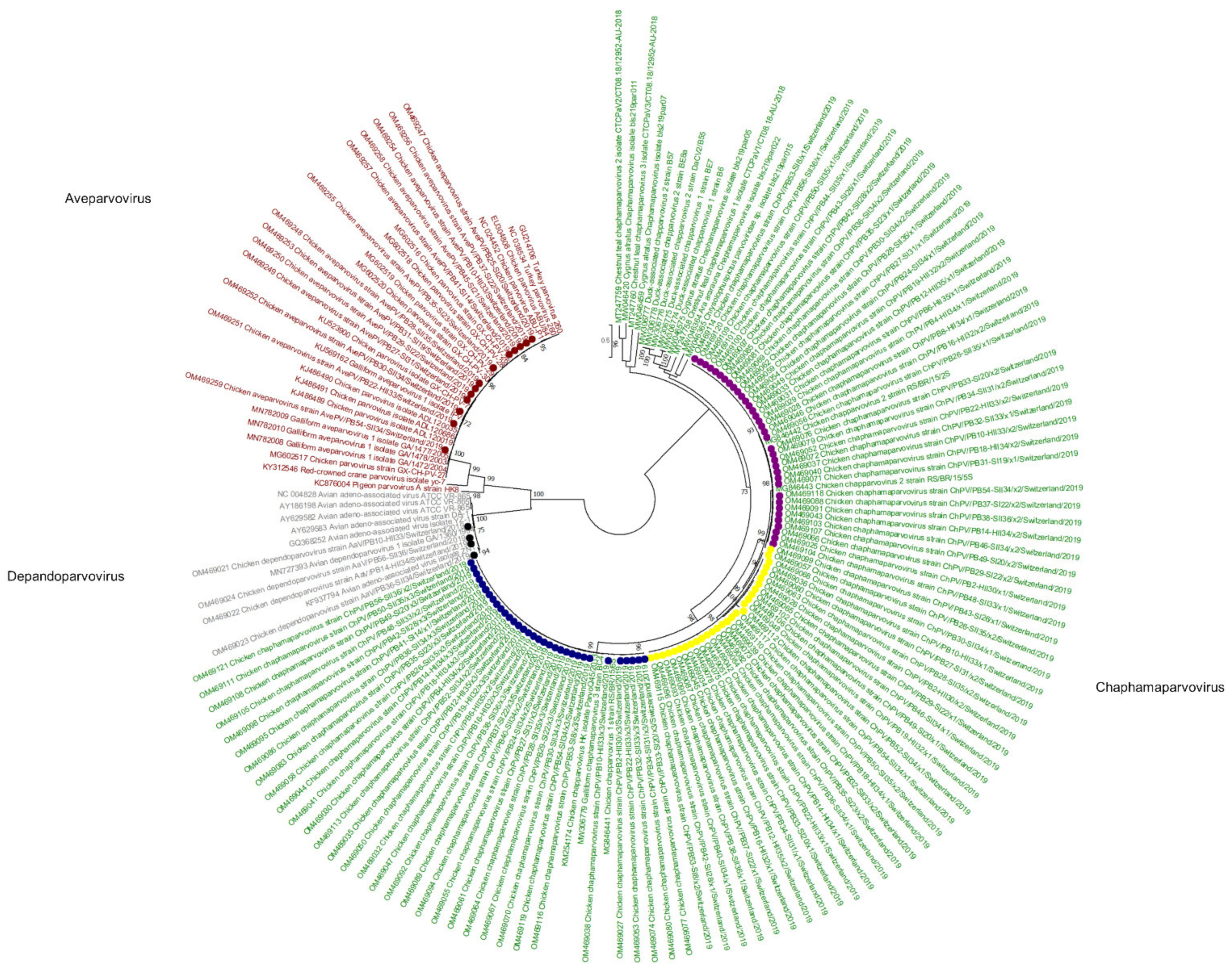 Microorganisms 10 01092 g002 550