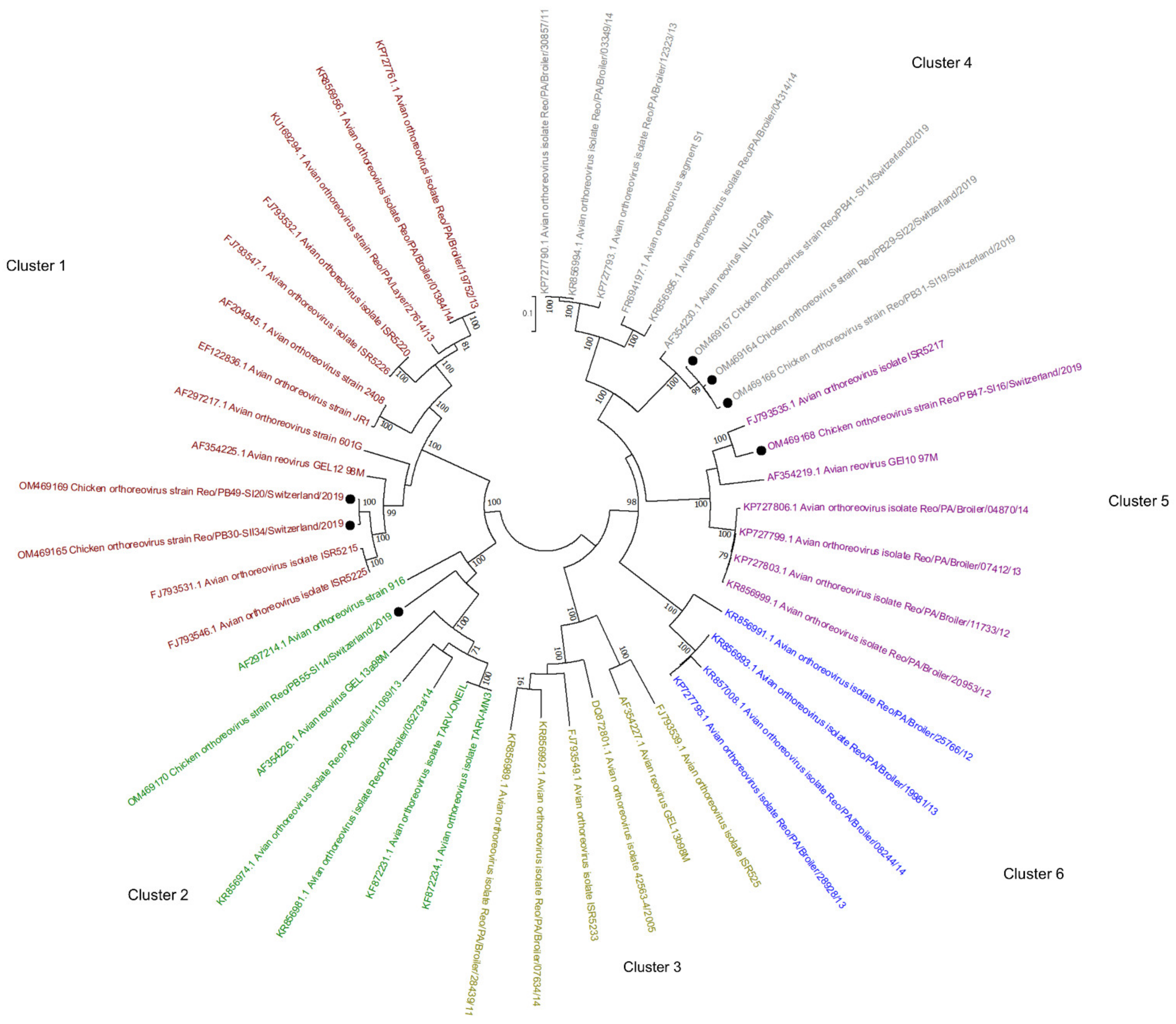 Microorganisms 10 01092 g005 550