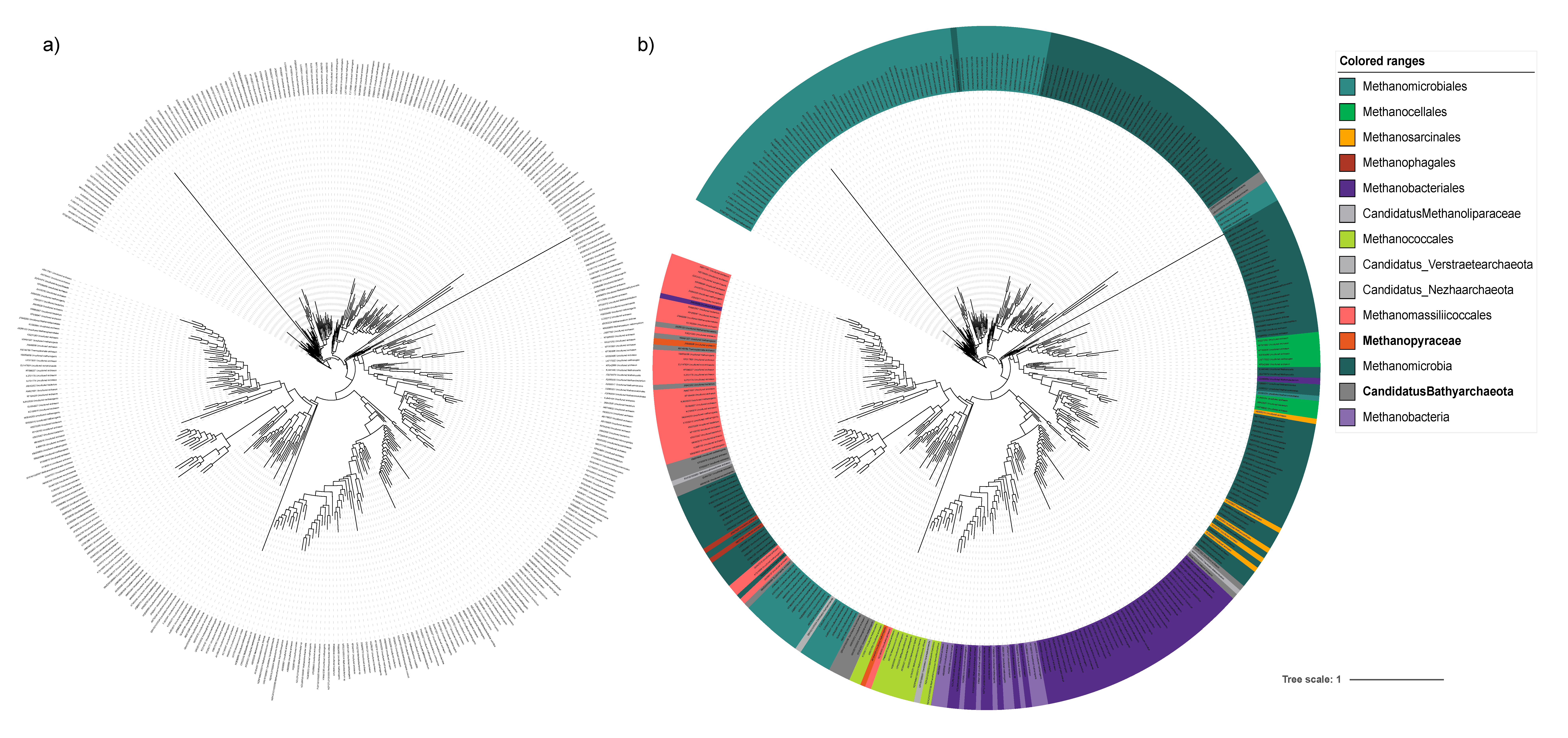Microorganisms 10 01093 g004 550