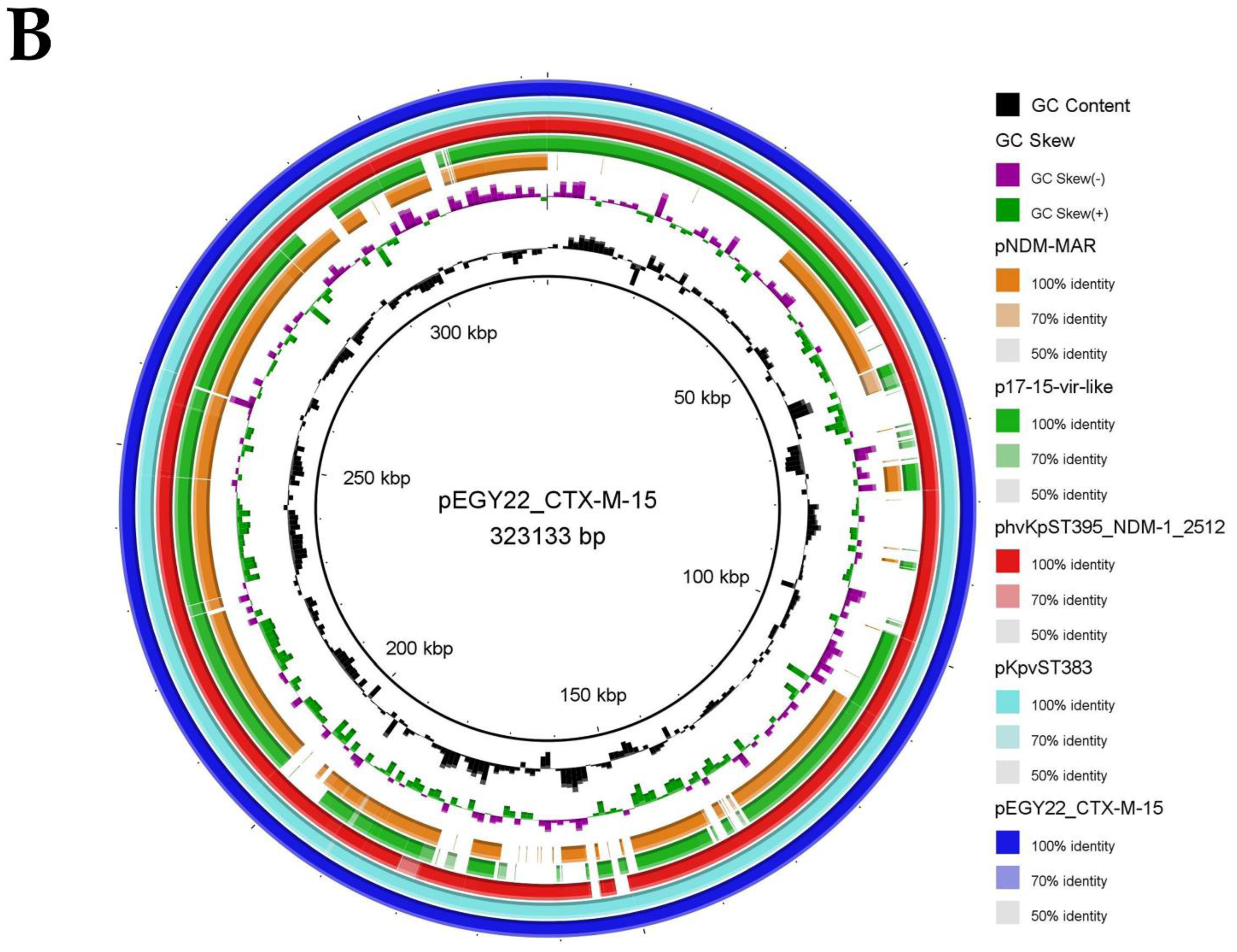 Microorganisms | Free Full-Text | Whole Genome Characterization of ...