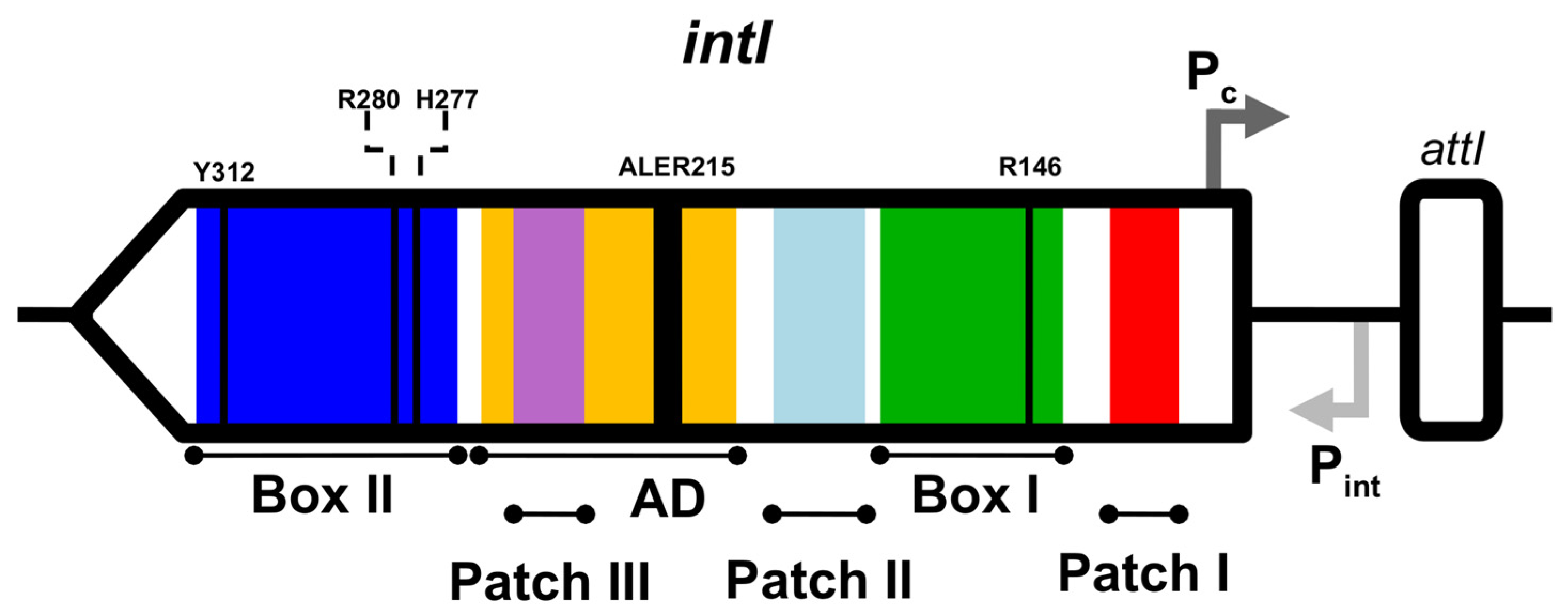 Microorganisms 10 01102 g001 Microorganisms 10 01102 g001