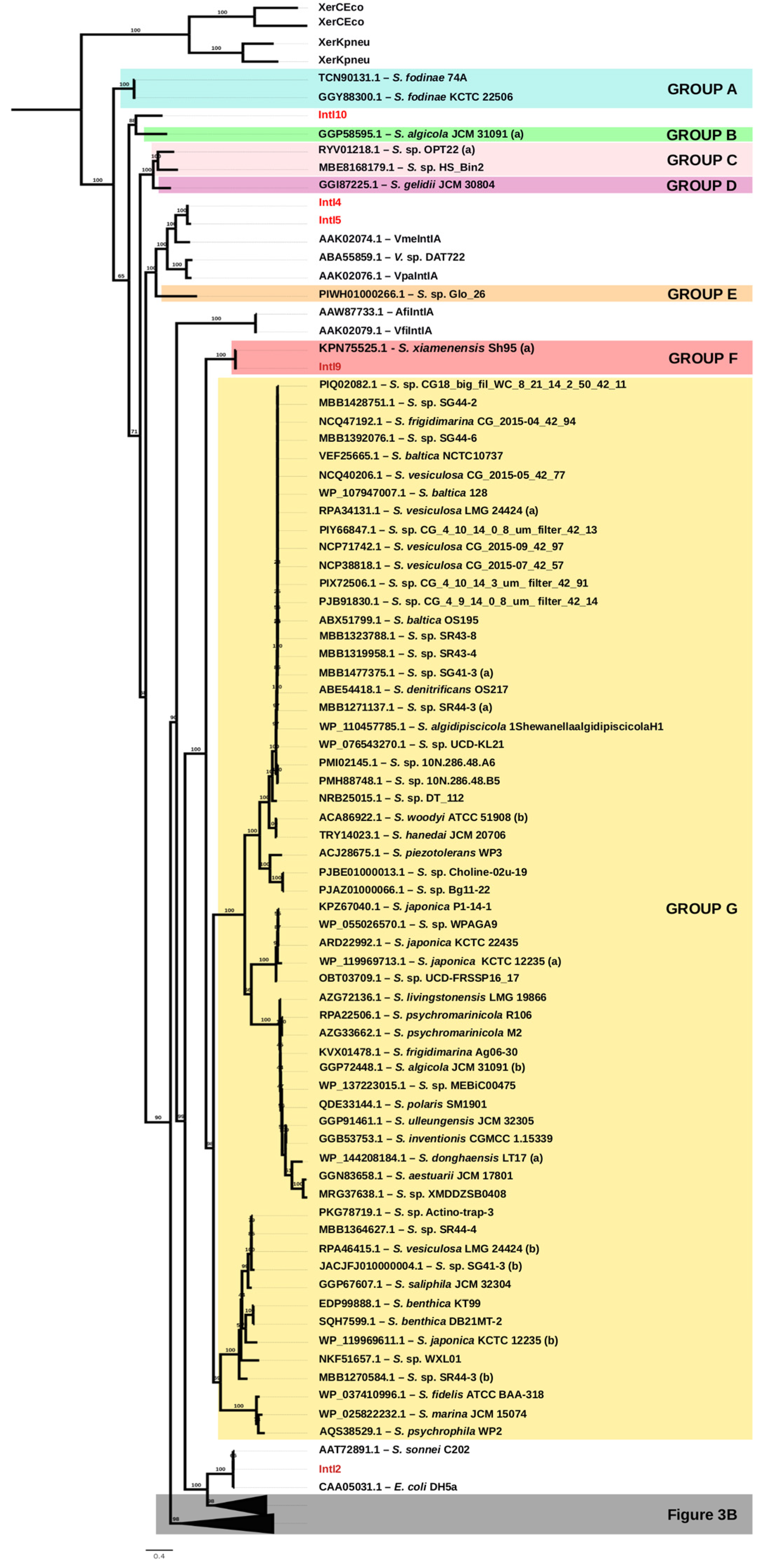 Microorganisms 10 01102 g003b Microorganisms 10 01102 g003b