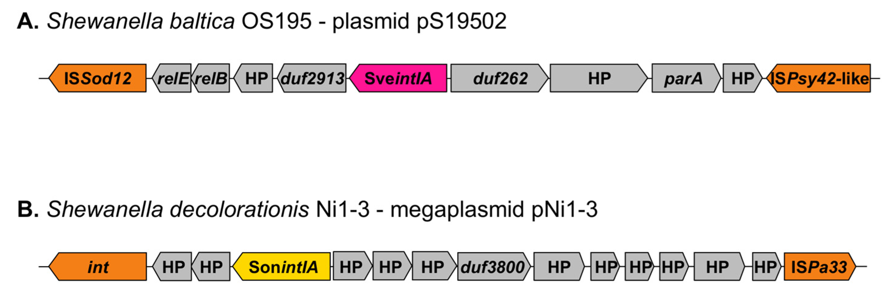 Microorganisms 10 01102 g005 Microorganisms 10 01102 g005