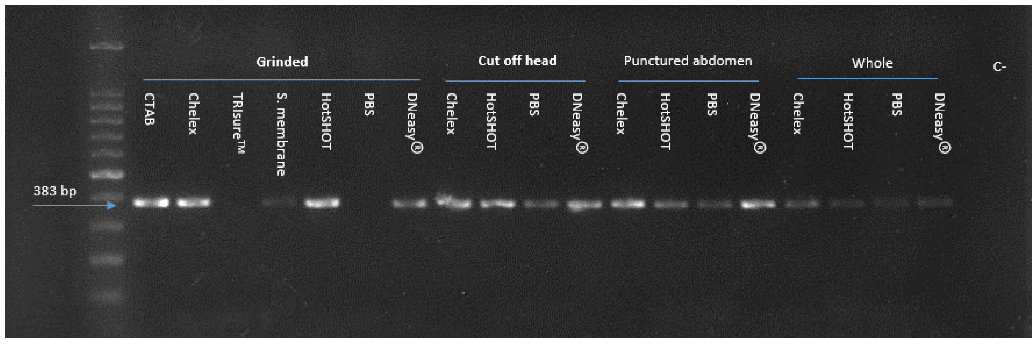 Microorganisms 10 01104 g004 550