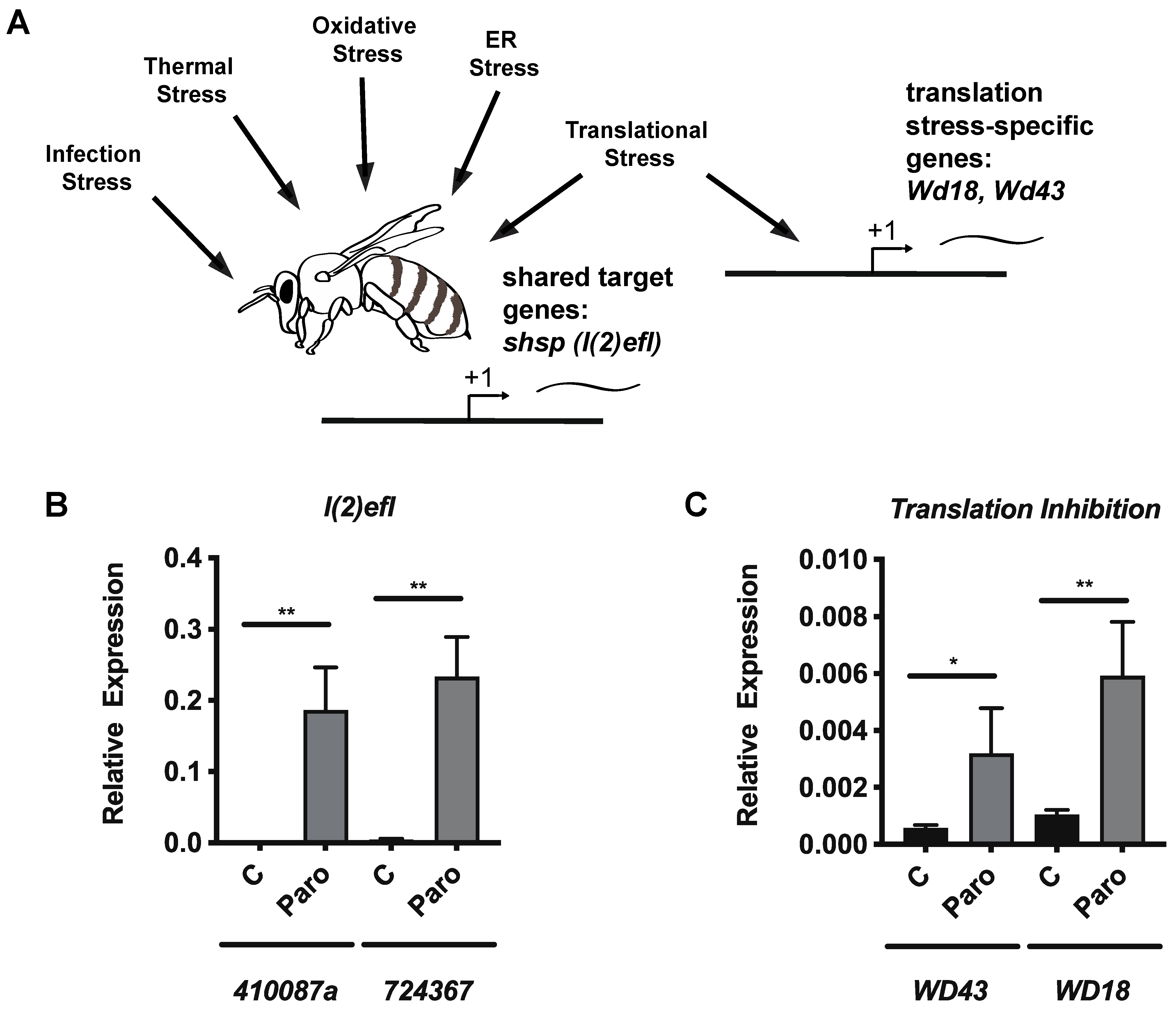 Microorganisms 10 01107 g004 550