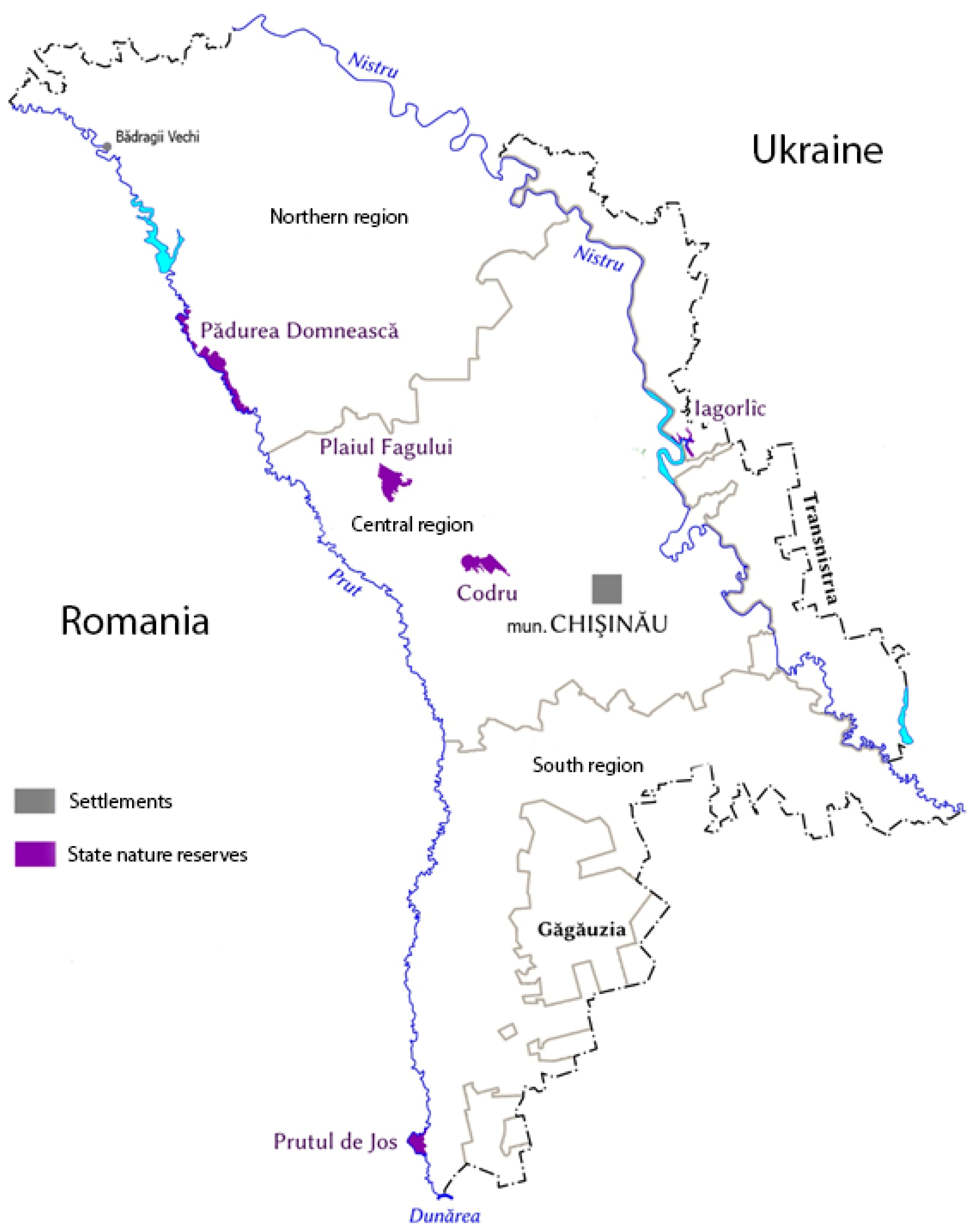 Microorganisms 10 01111 g001