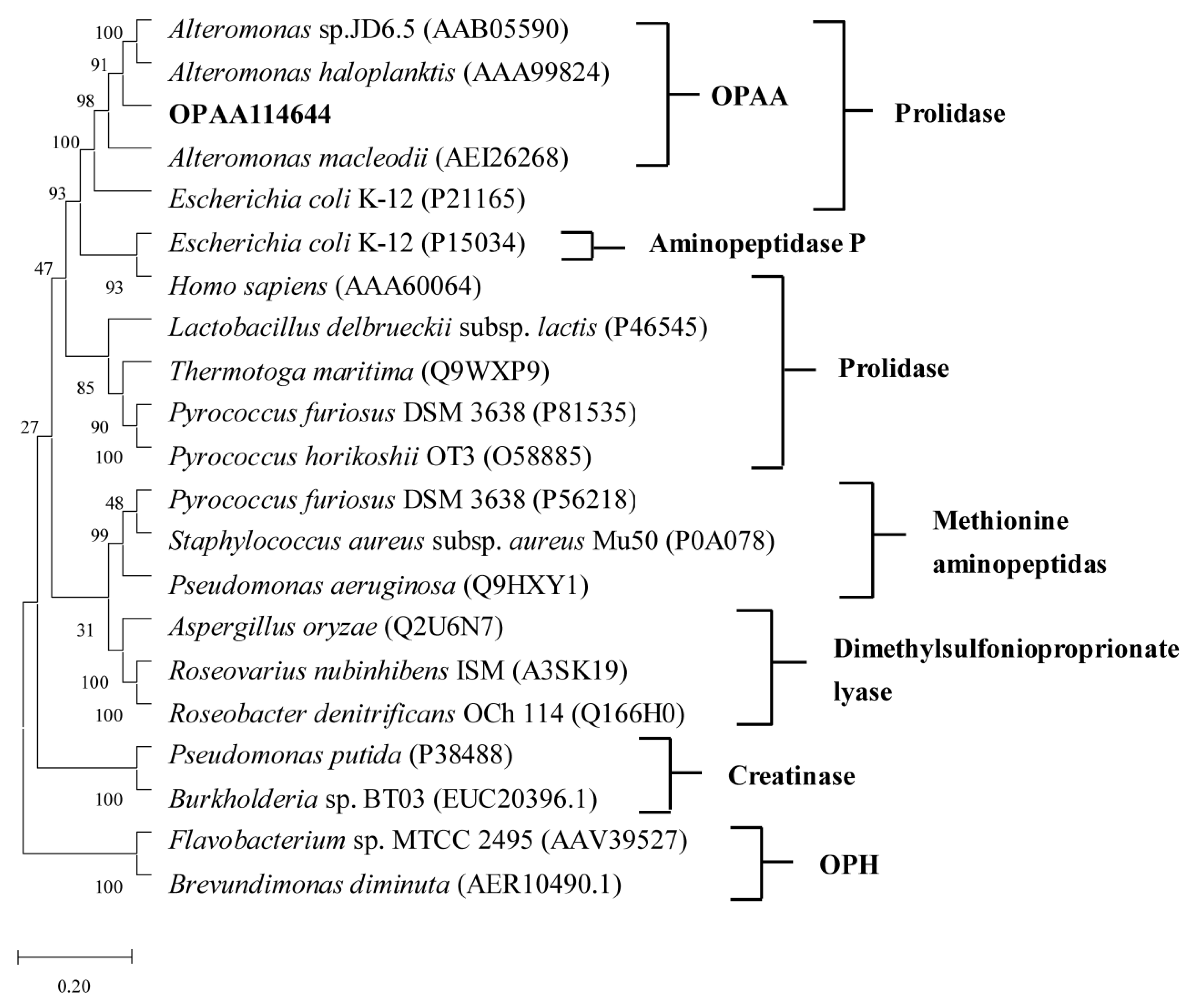Microorganisms 10 01112 g001