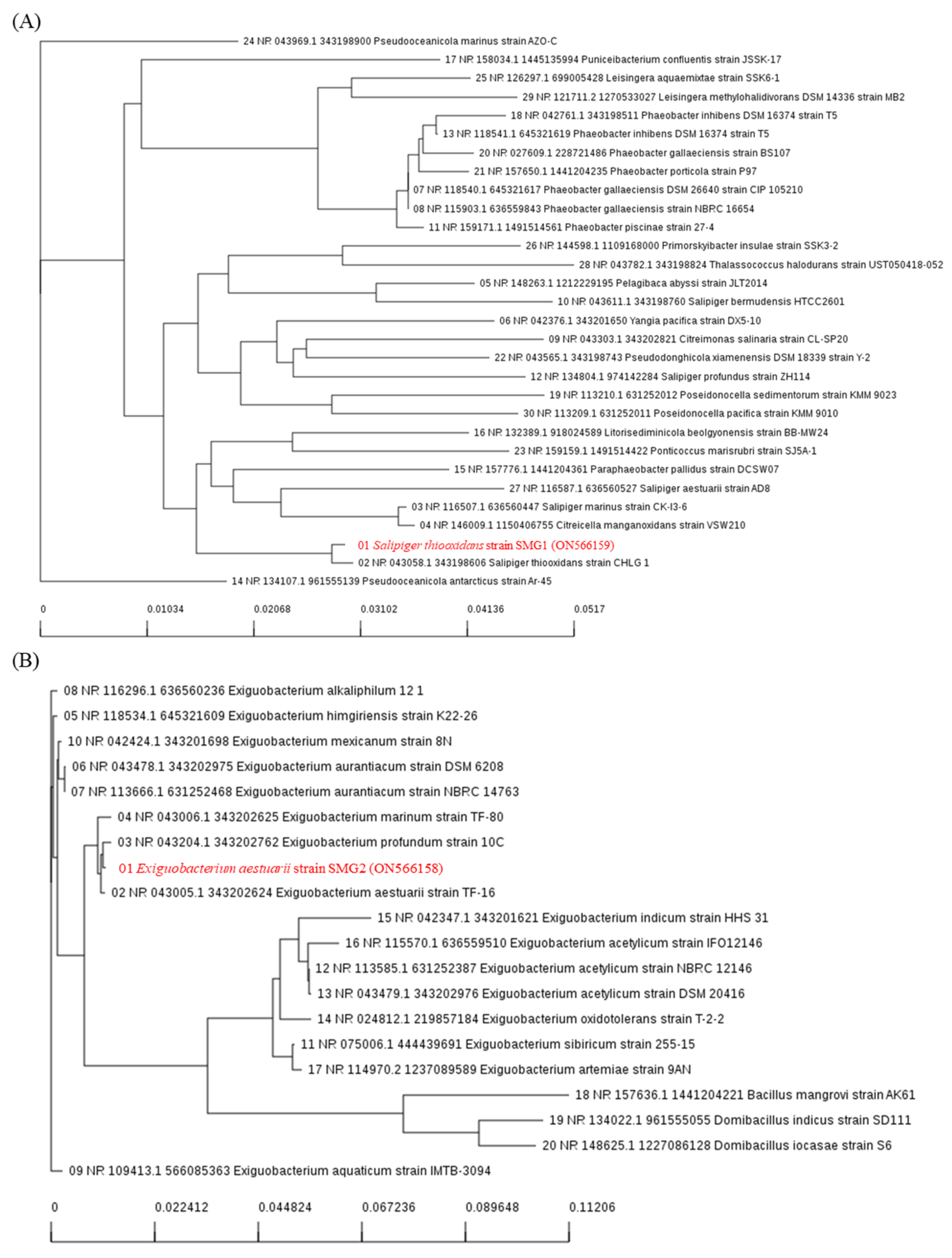 Microorganisms 10 01113 g001