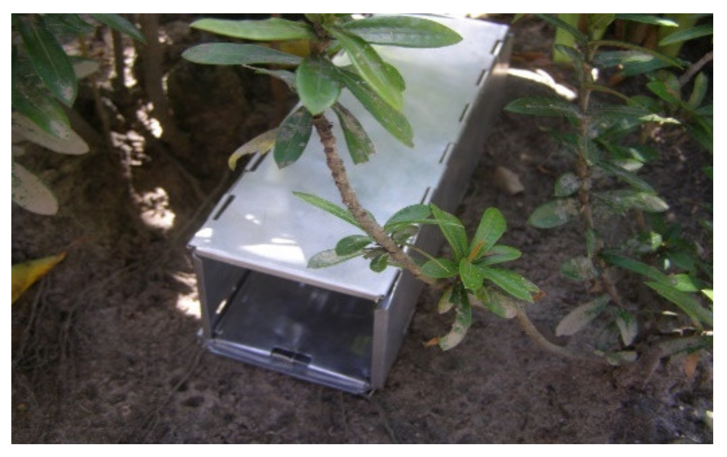 Microorganisms 10 01114 g001