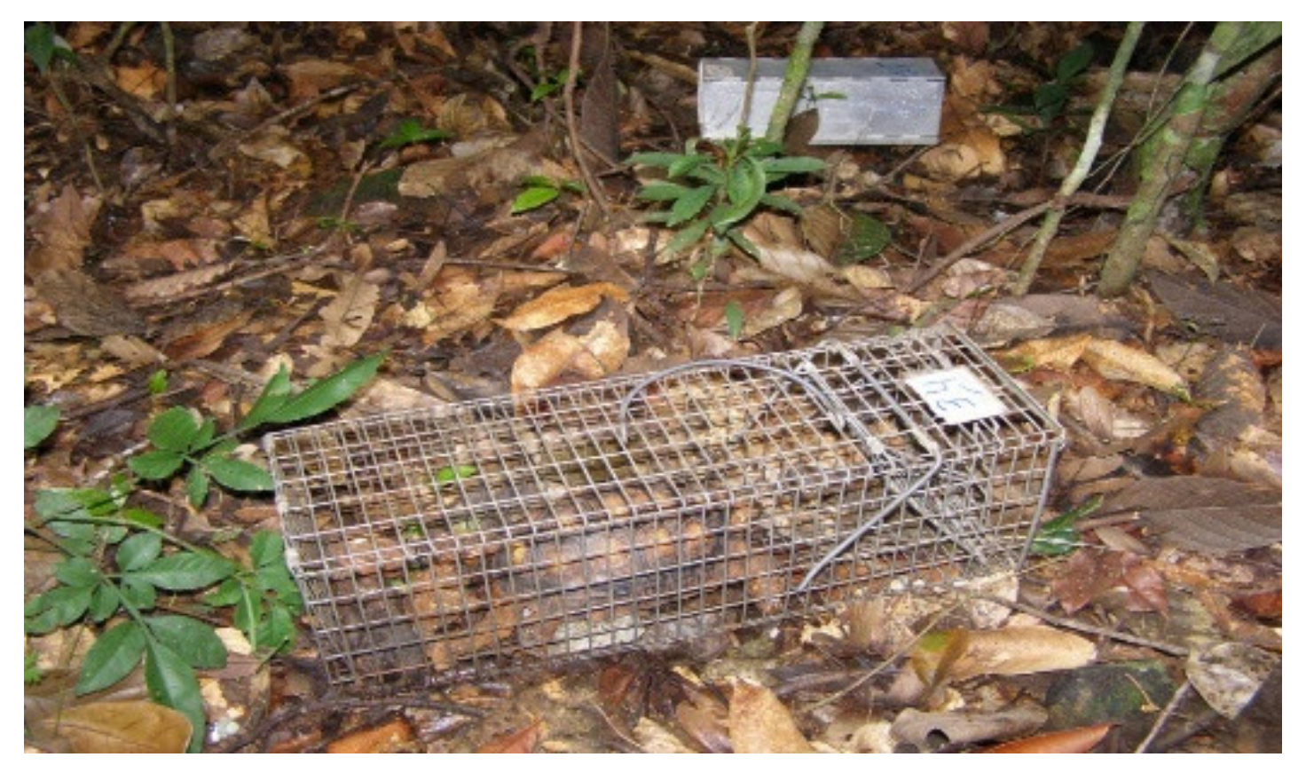 Microorganisms 10 01114 g002