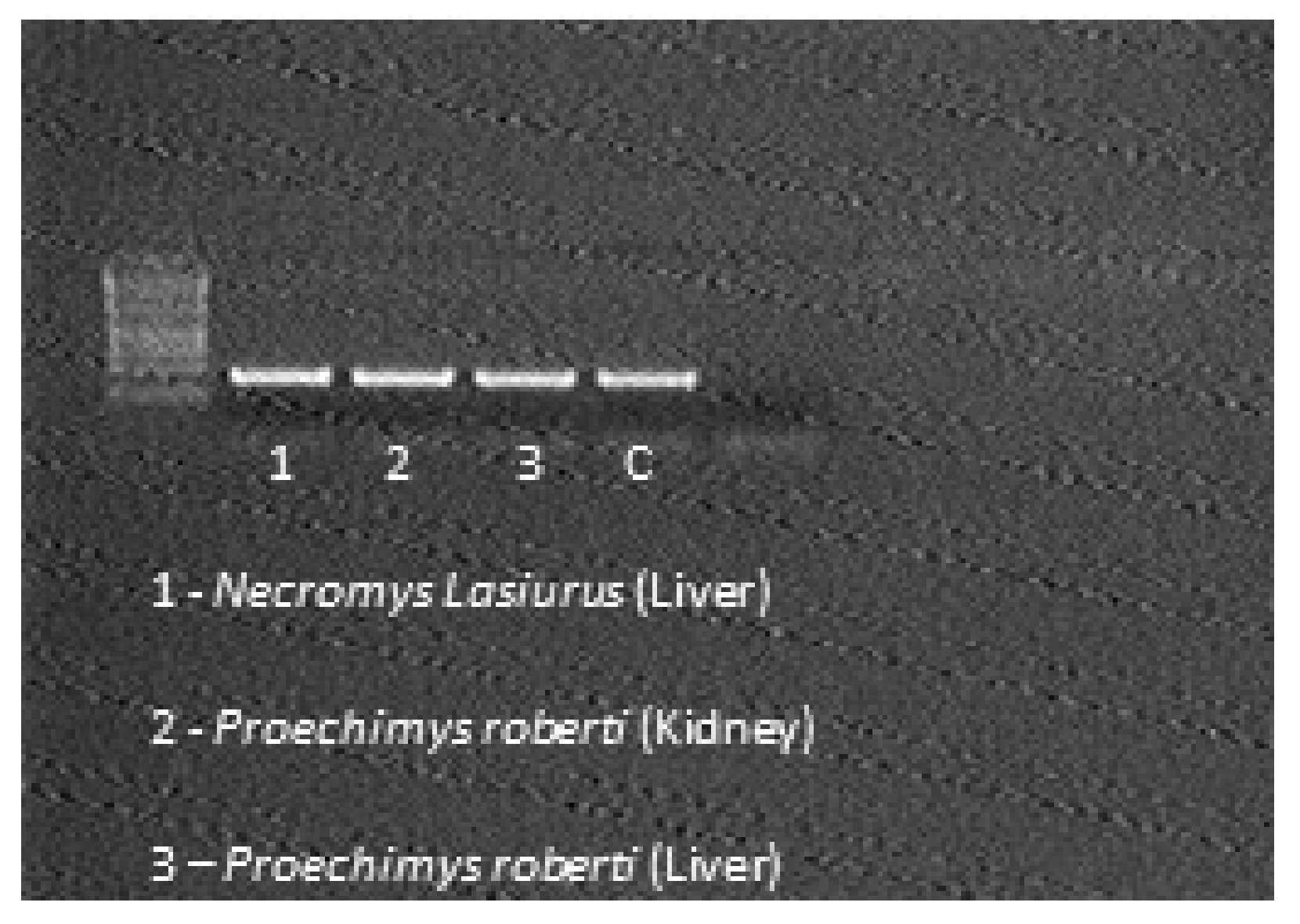 Microorganisms 10 01114 g006