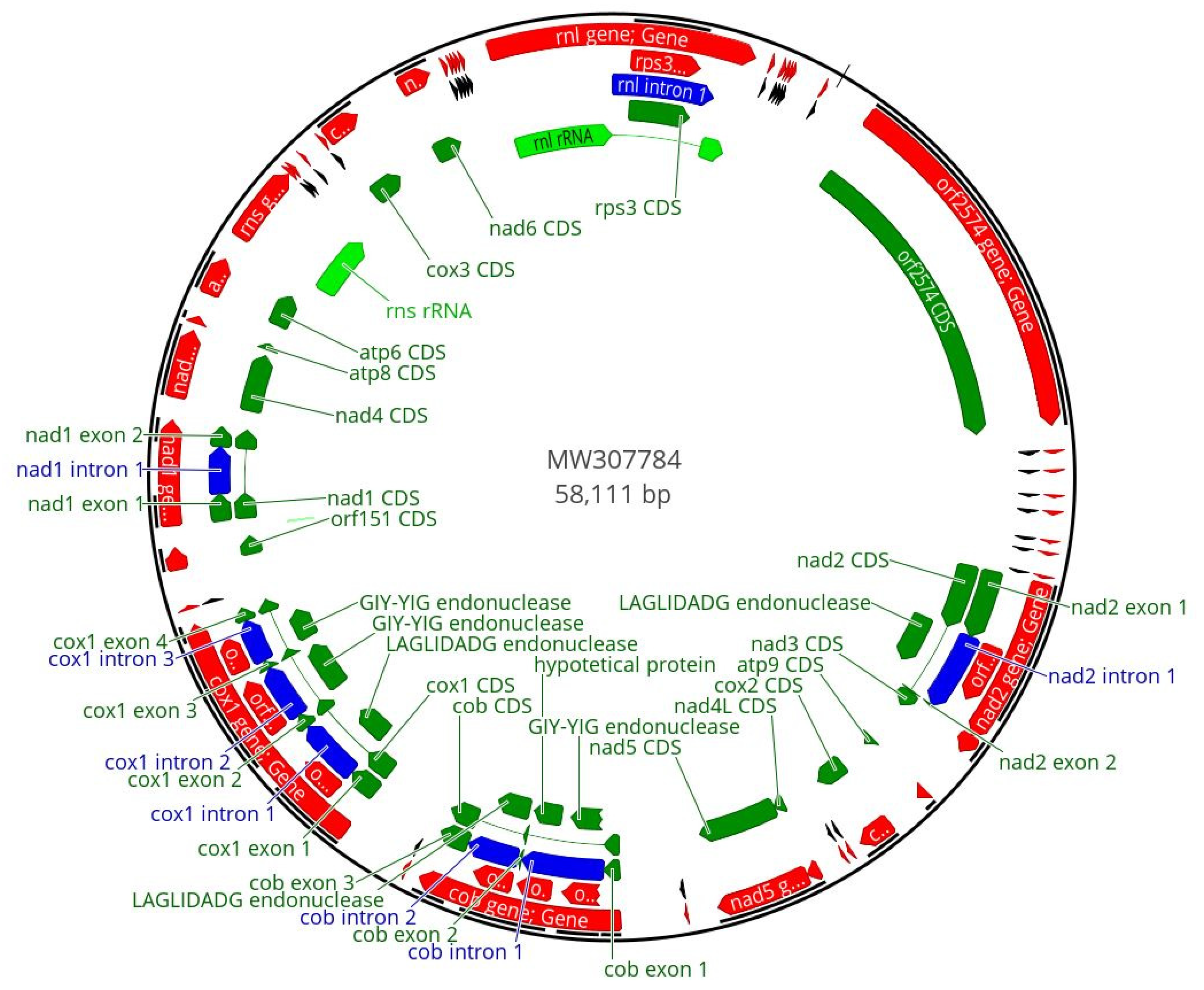 Microorganisms 10 01115 g001 Microorganisms 10 01115 g001