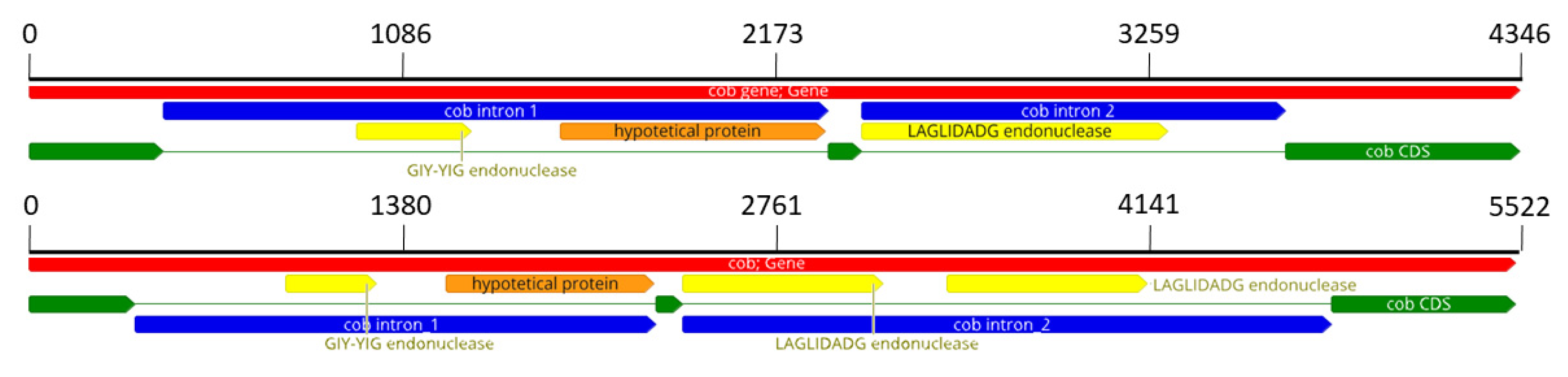 Microorganisms 10 01115 g002 Microorganisms 10 01115 g002