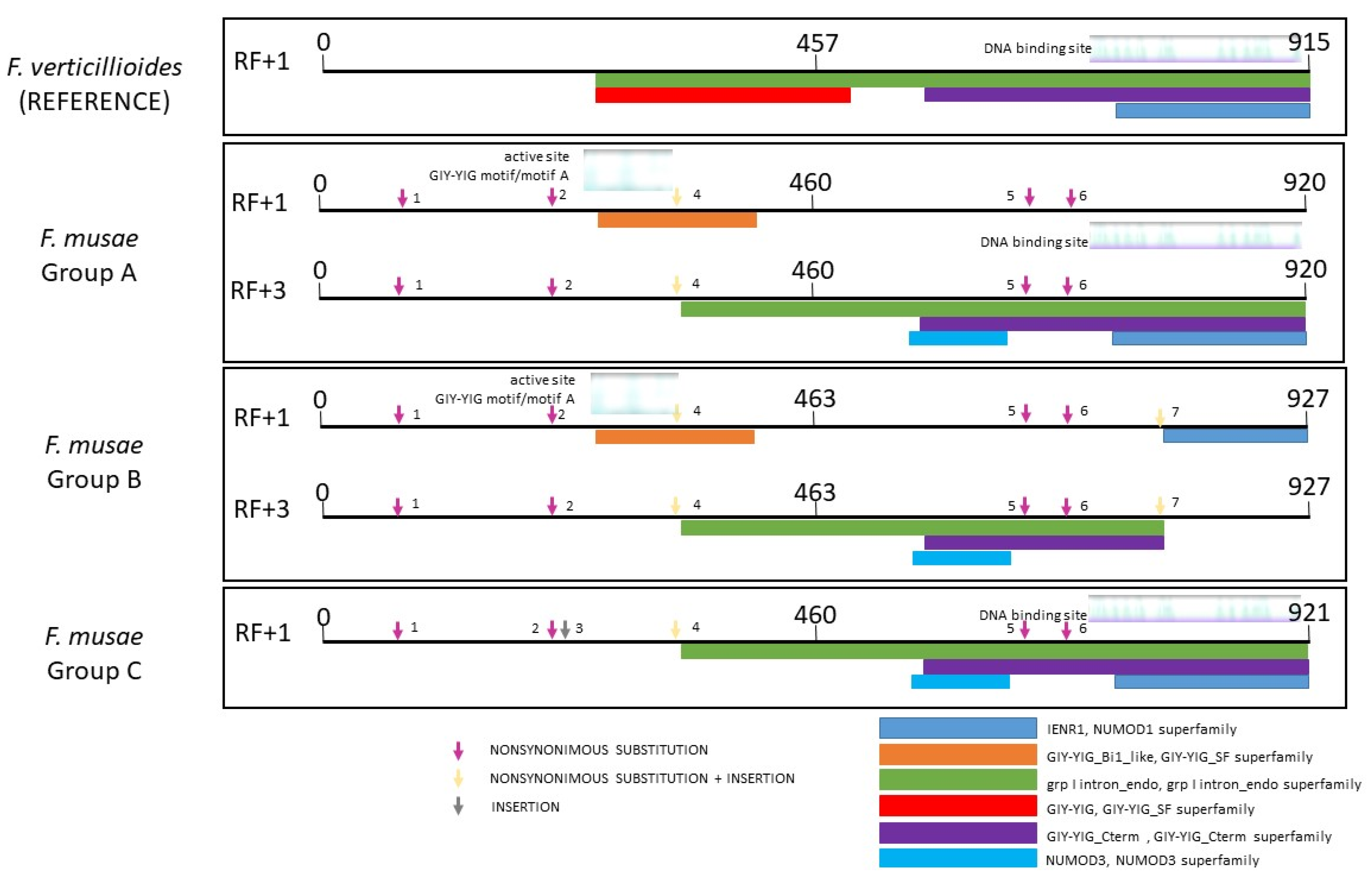 Microorganisms 10 01115 g003 Microorganisms 10 01115 g003