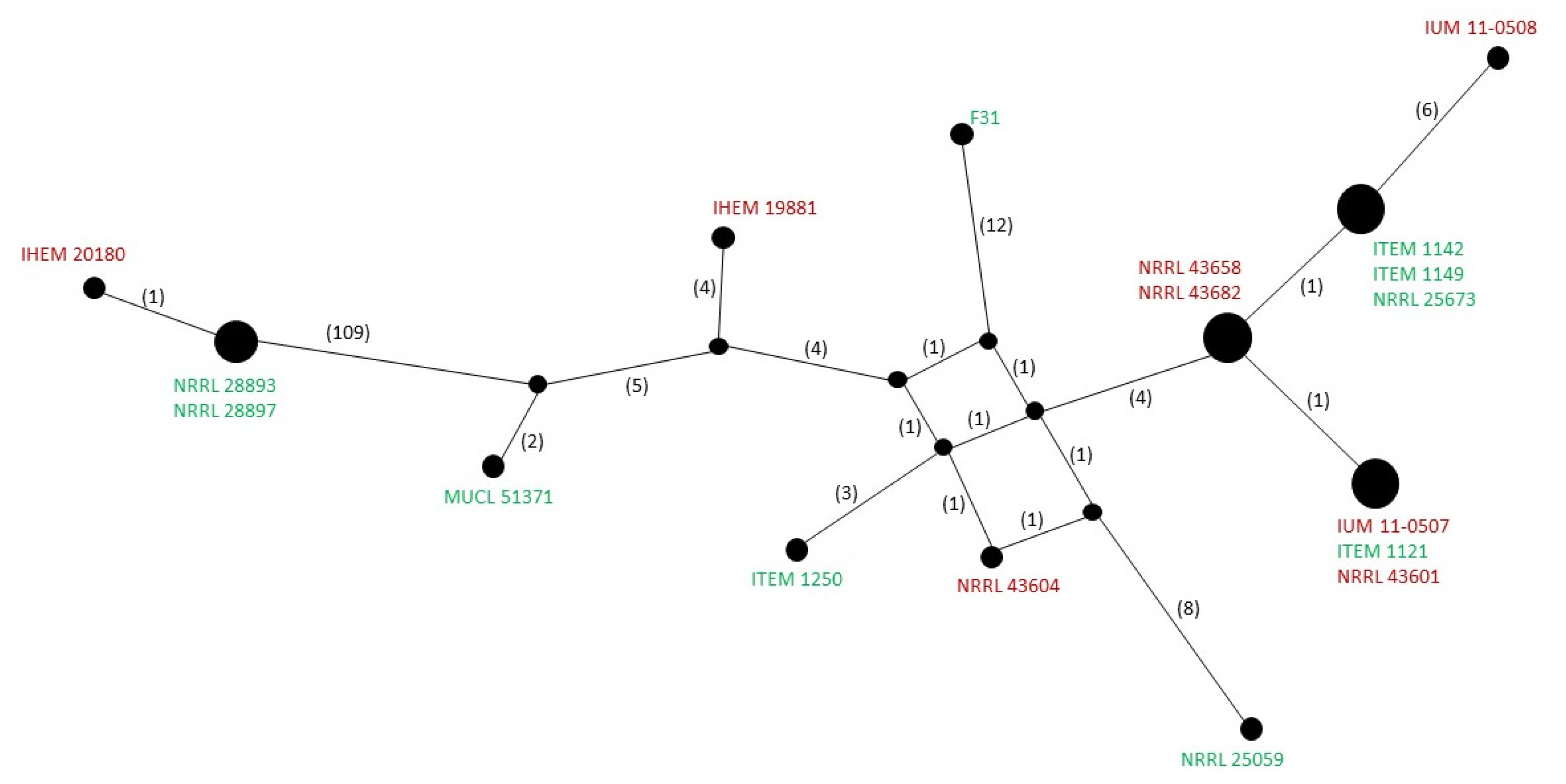Microorganisms 10 01115 g004 Microorganisms 10 01115 g004