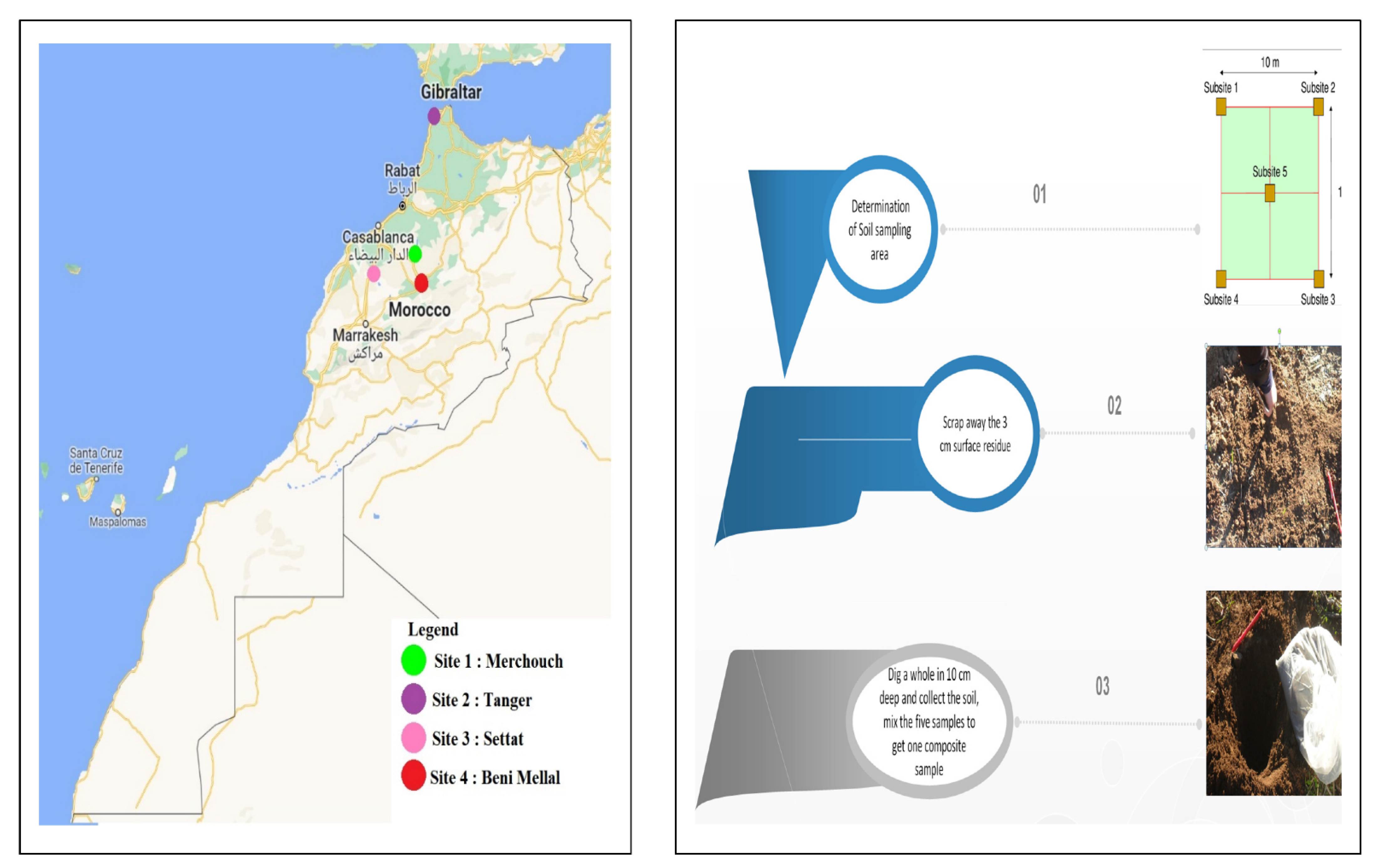 Microorganisms 10 01116 g001