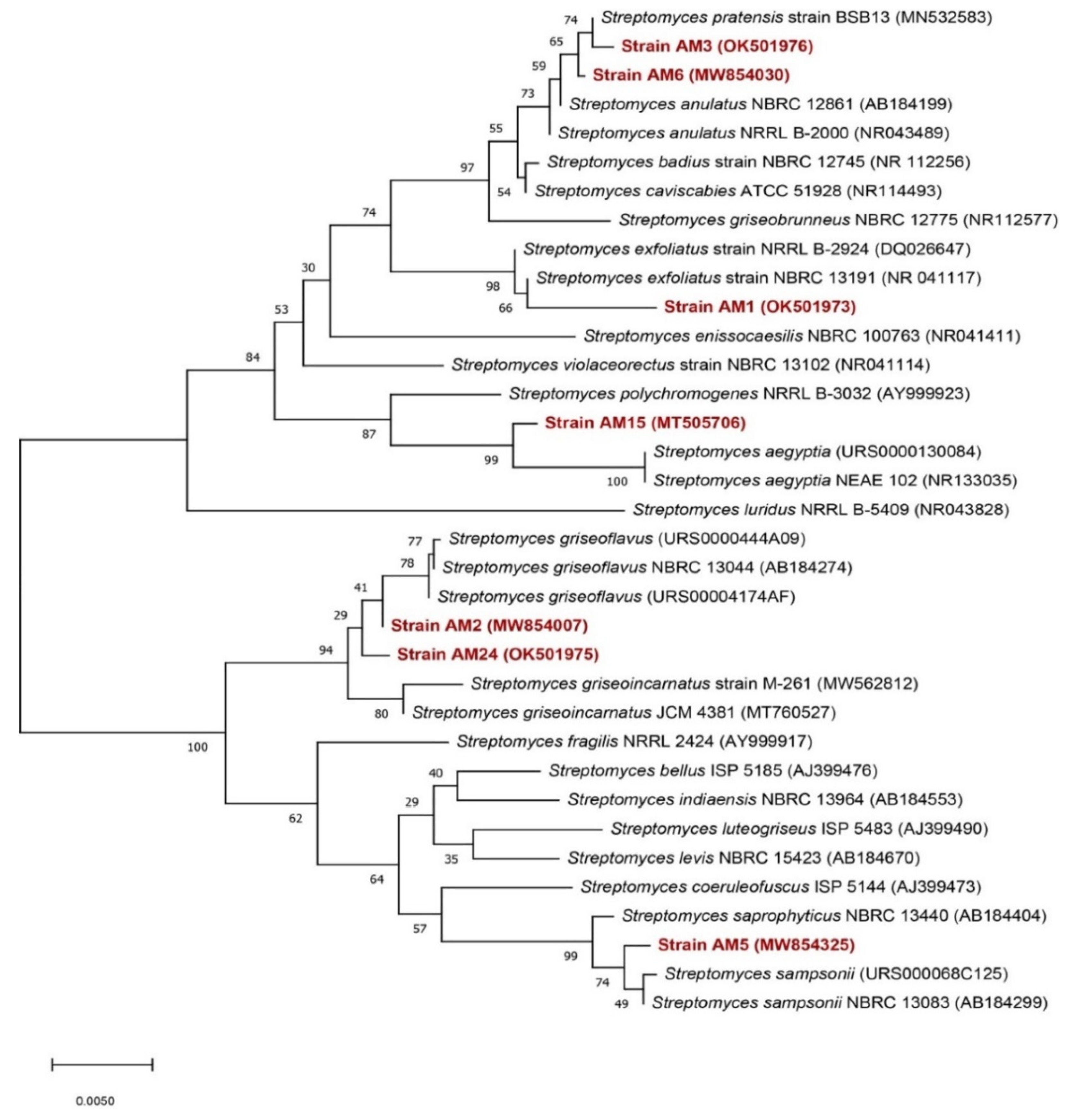 Microorganisms 10 01116 g004
