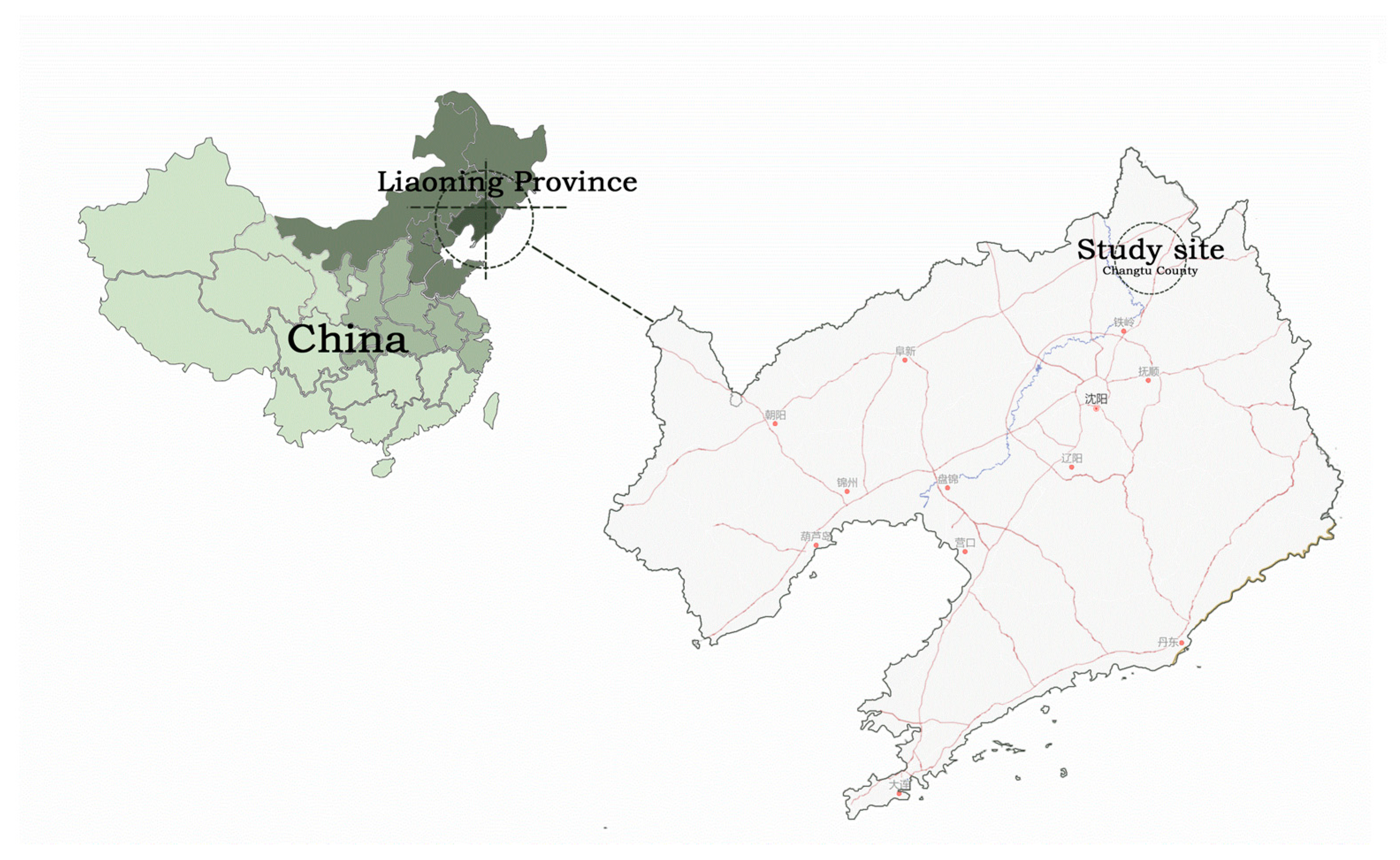 Microorganisms 10 01117 g001