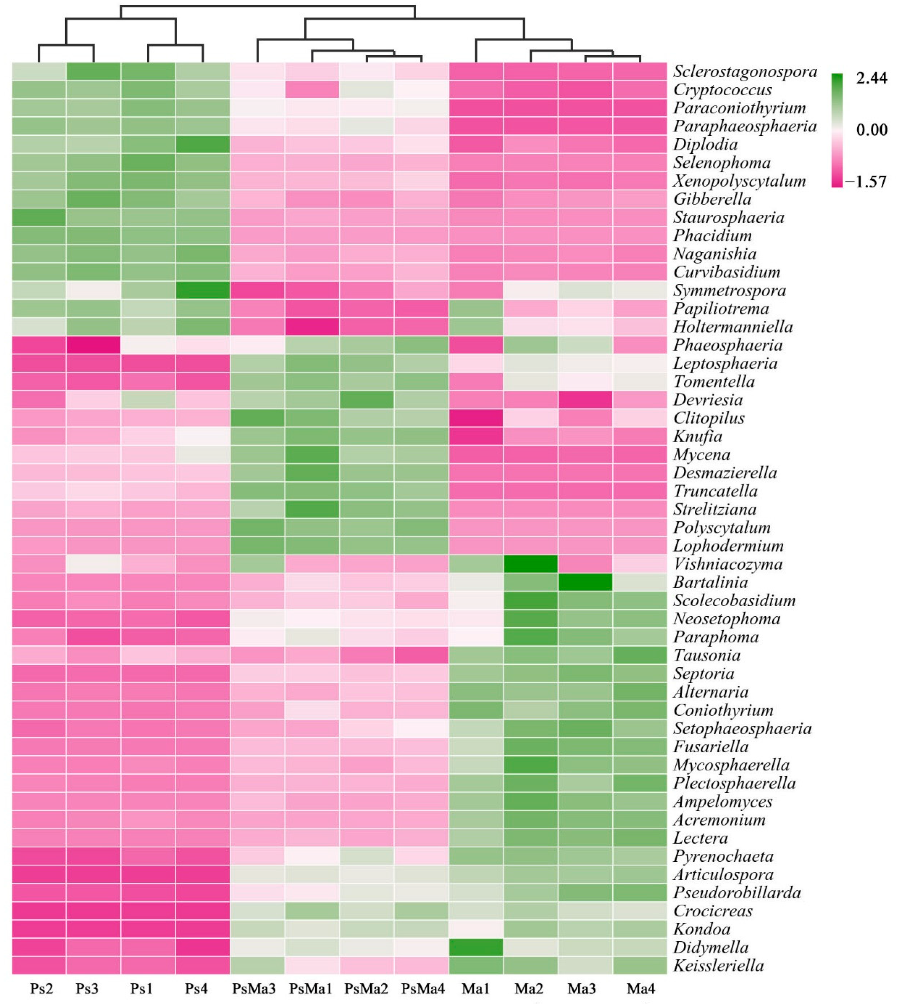 Microorganisms 10 01117 g008