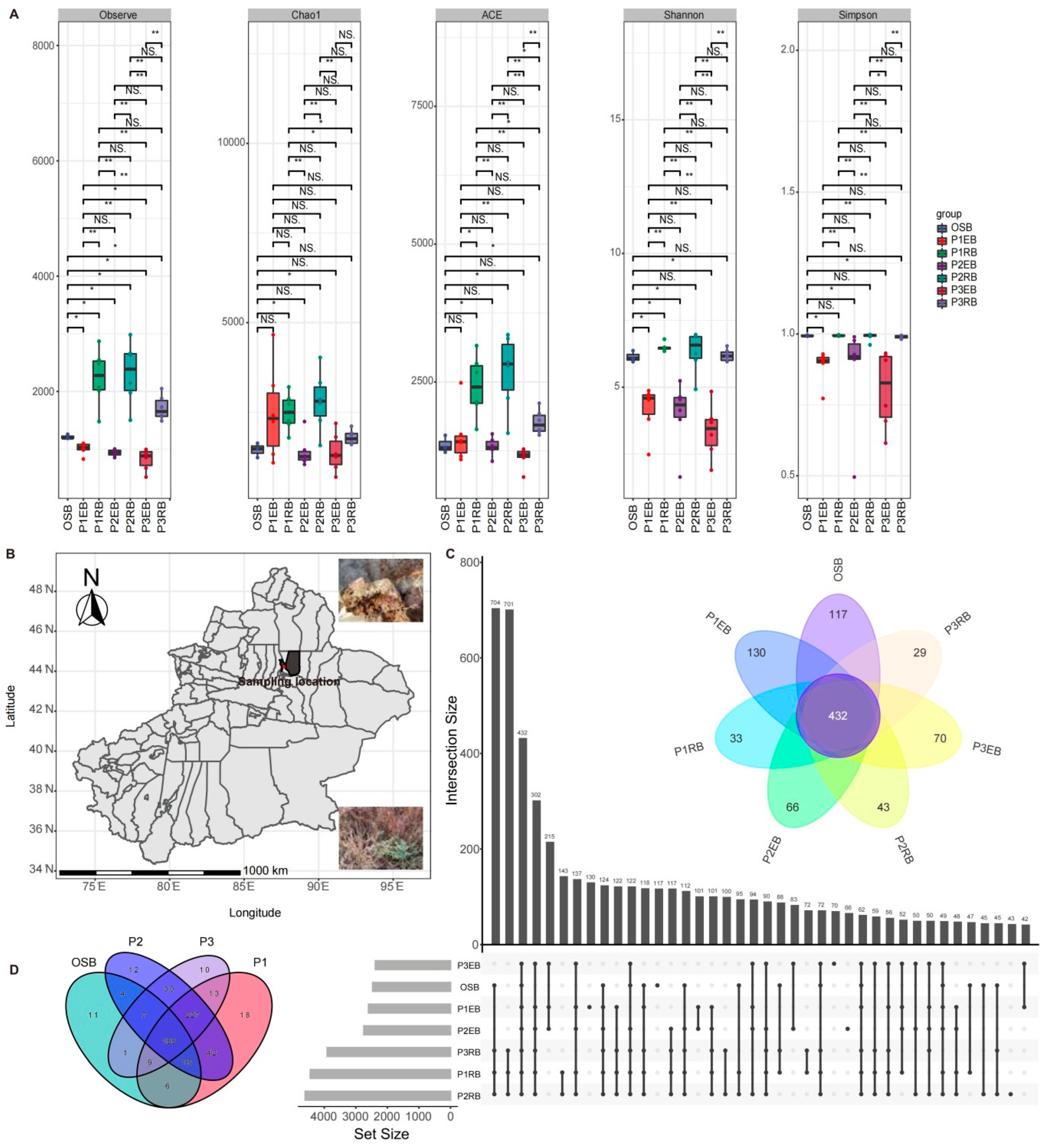 Microorganisms 10 01124 g001