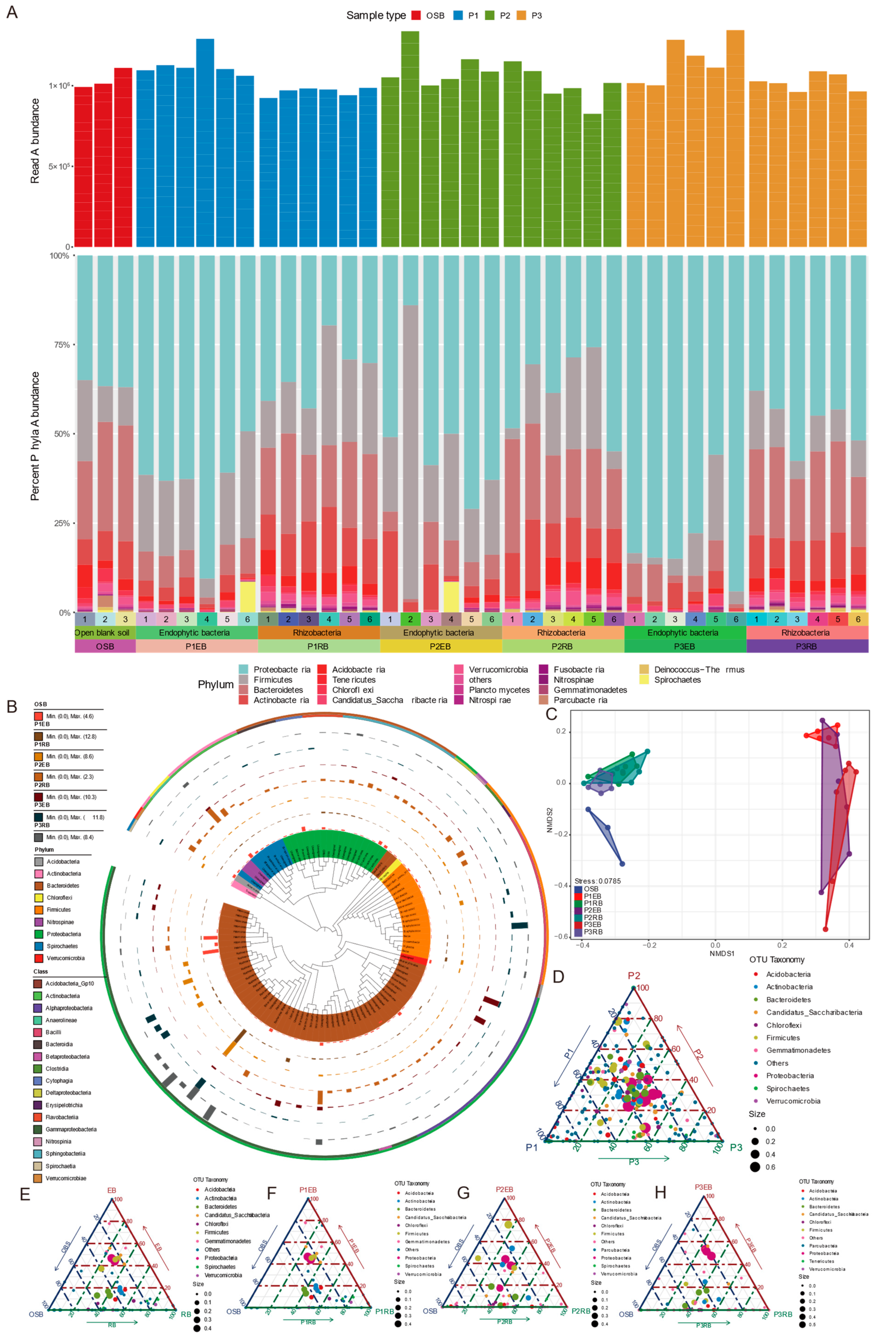 Microorganisms 10 01124 g002