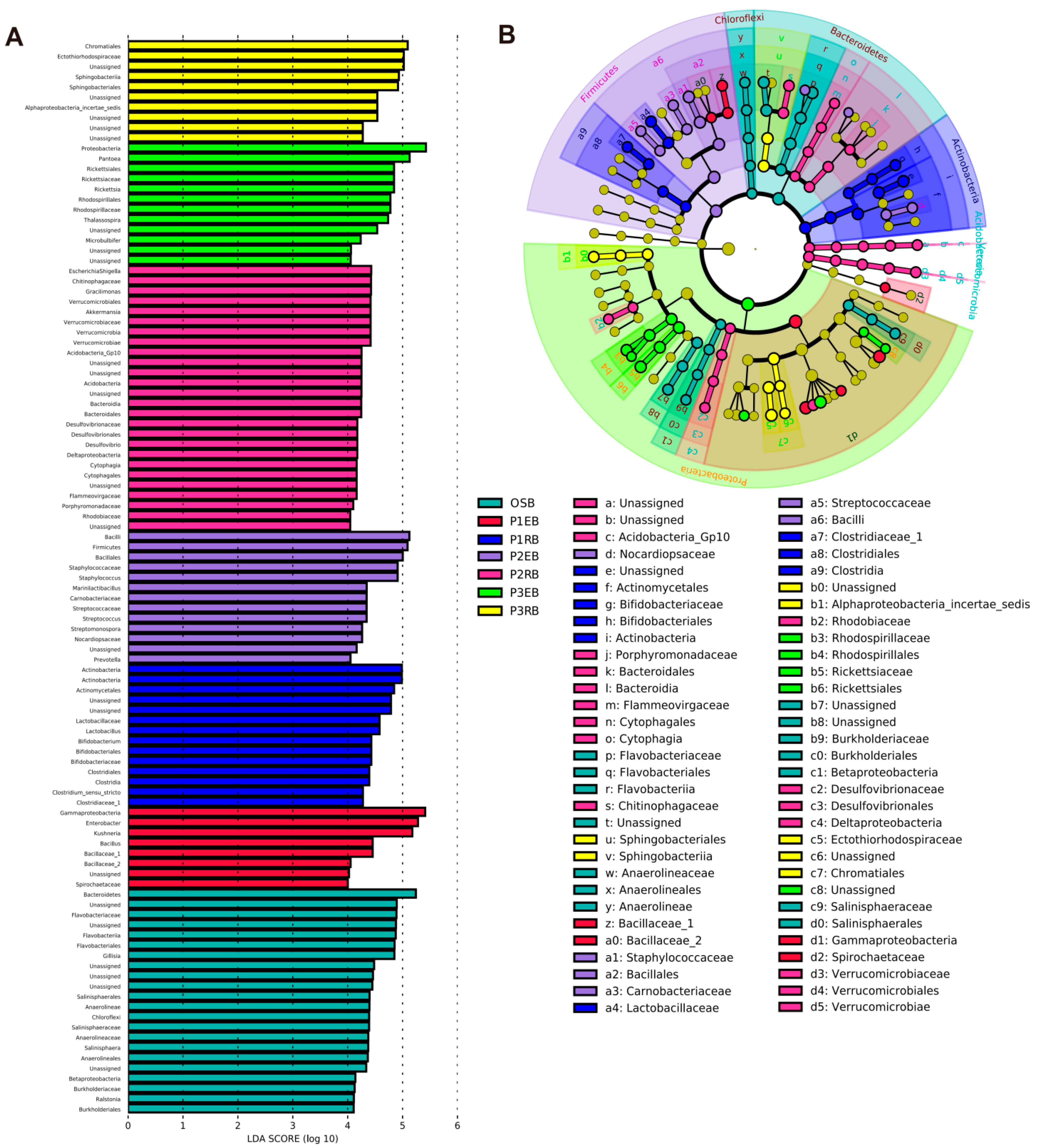 Microorganisms 10 01124 g004