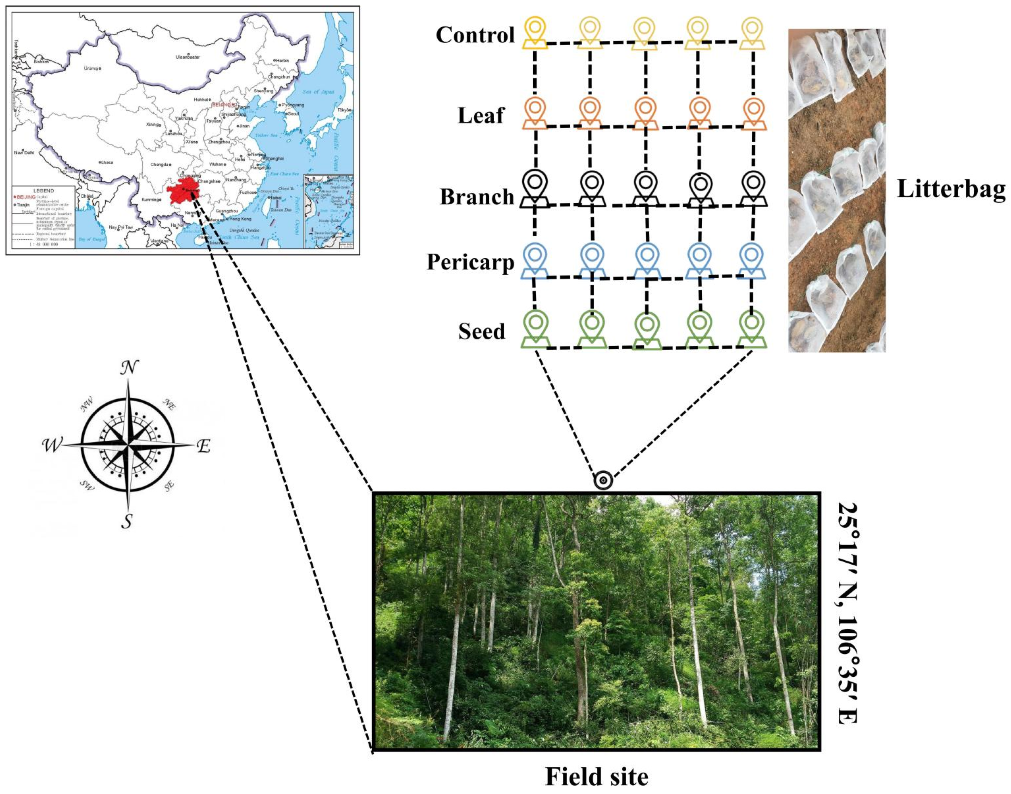 Microorganisms 10 01125 g001