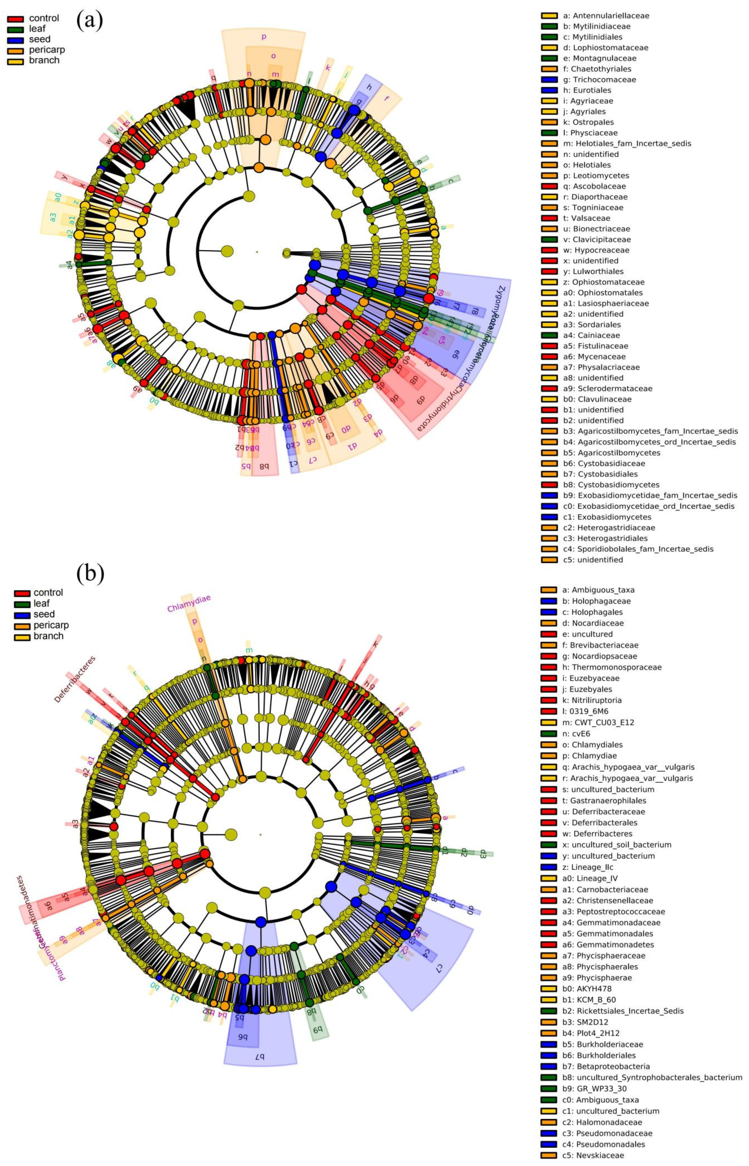 Microorganisms 10 01125 g005