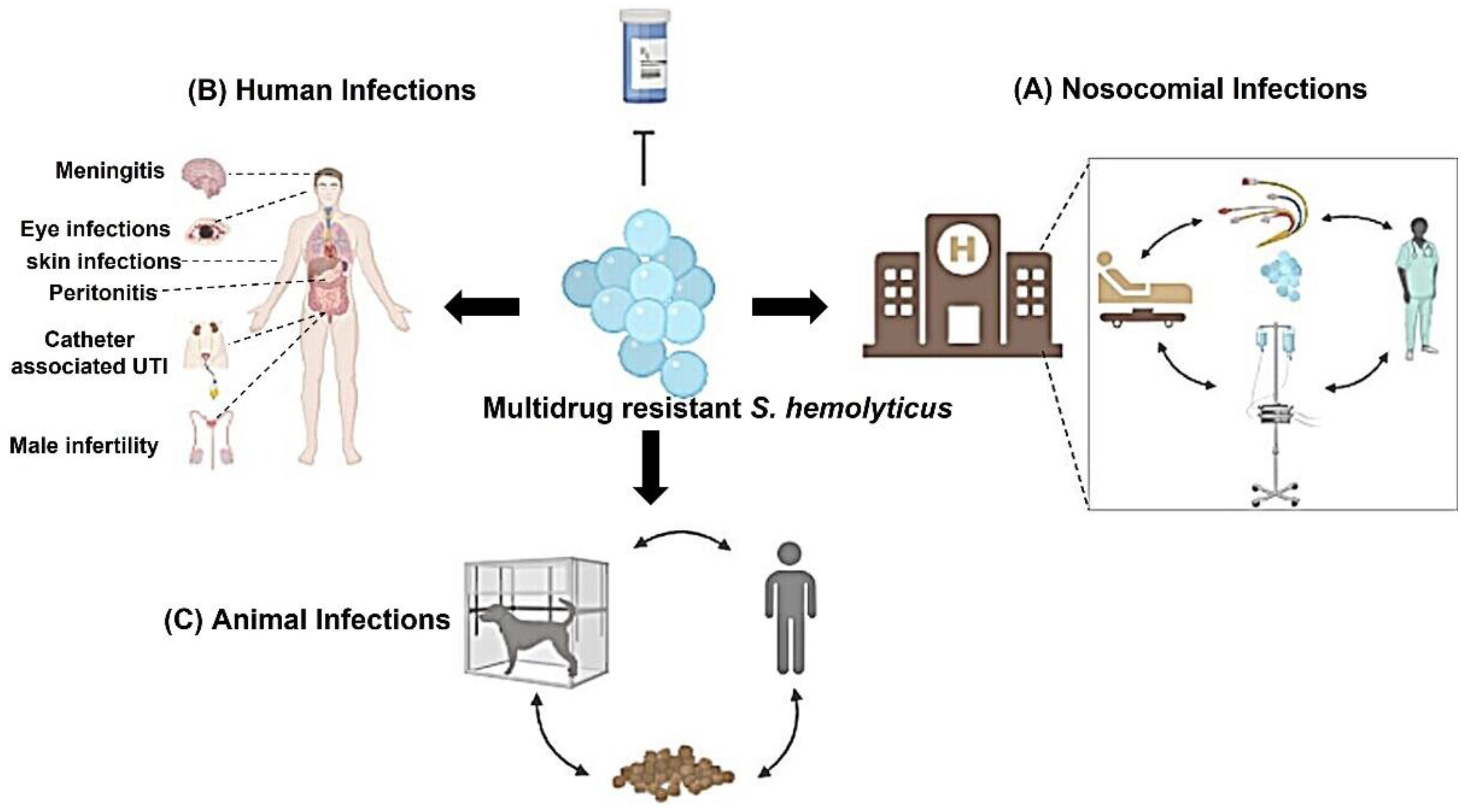 Microorganisms 10 01130 g001