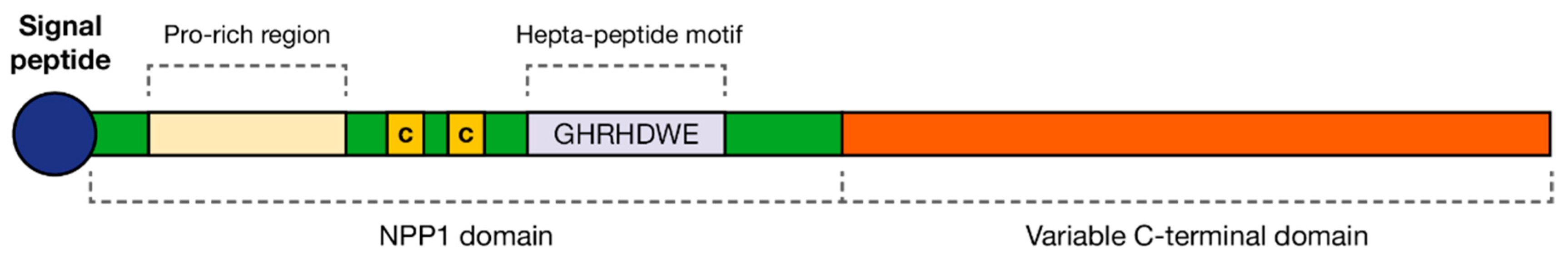 Microorganisms 10 01139 g003