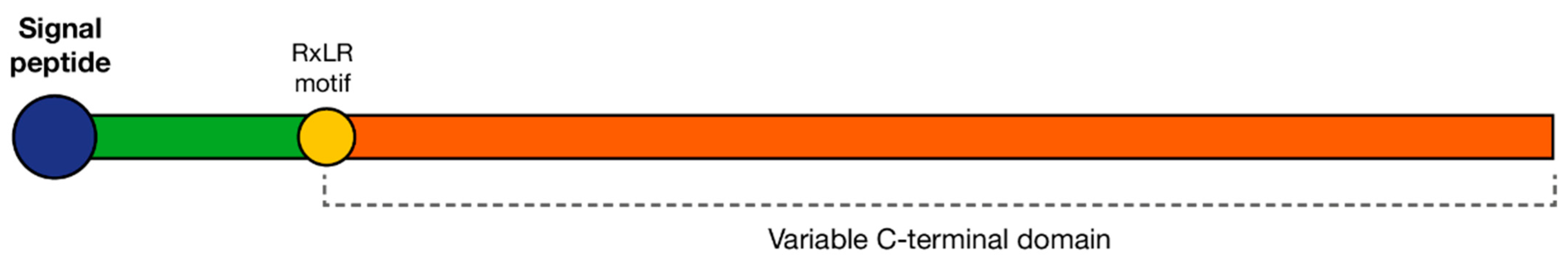 Microorganisms 10 01139 g004