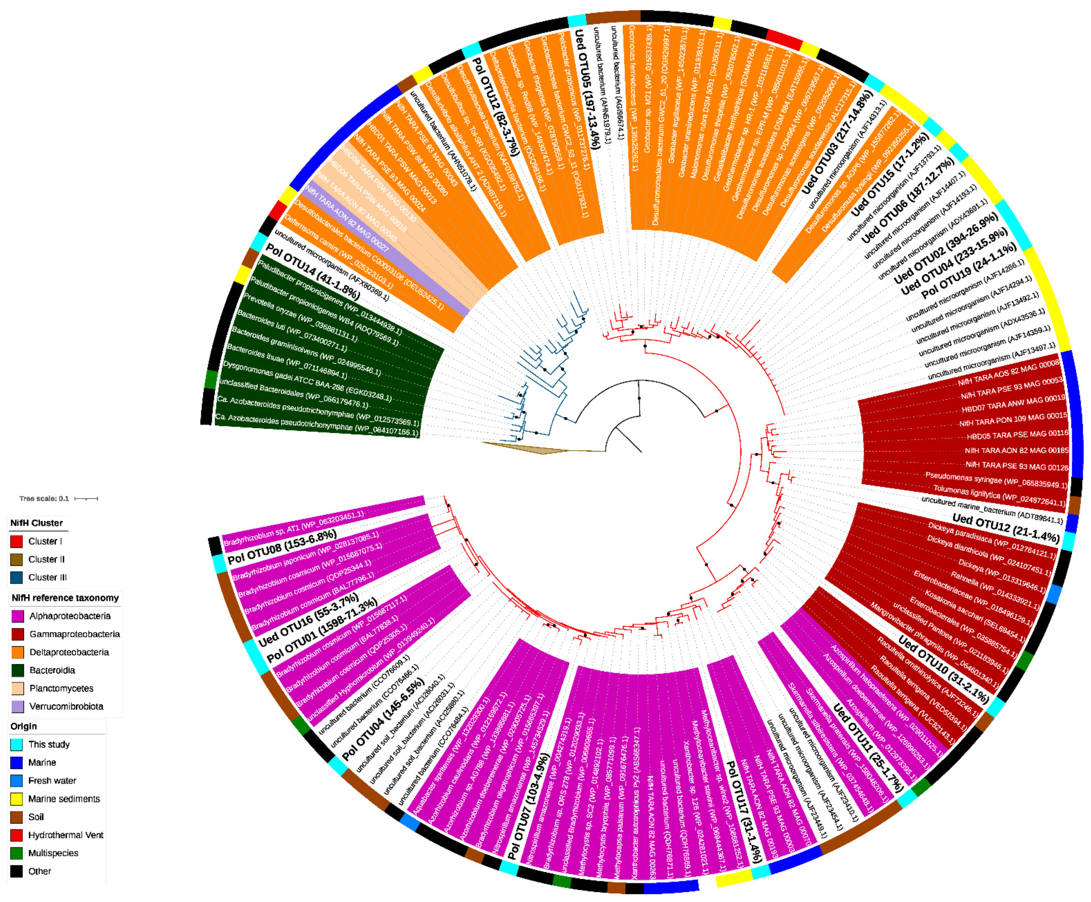 Microorganisms 10 01140 g002