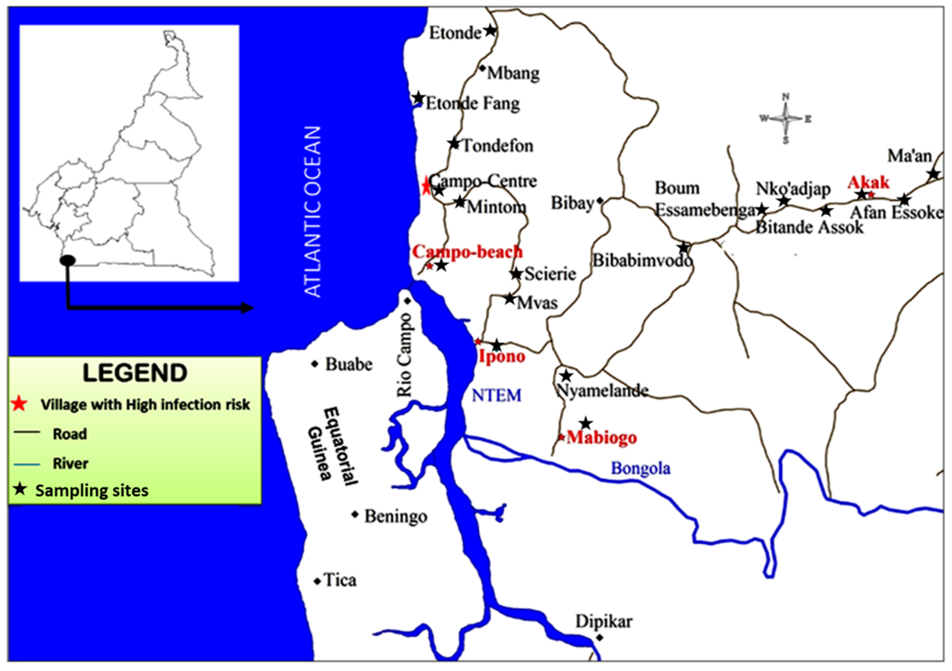 Microorganisms 10 01141 g001