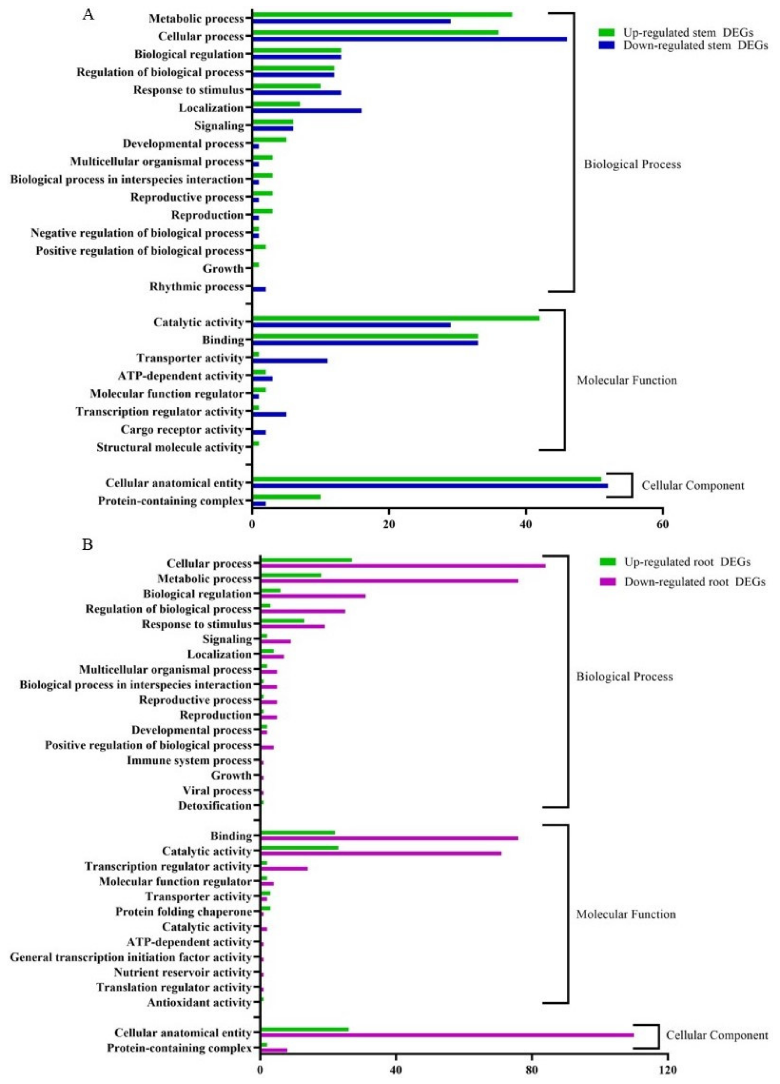 Microorganisms 10 01144 g006